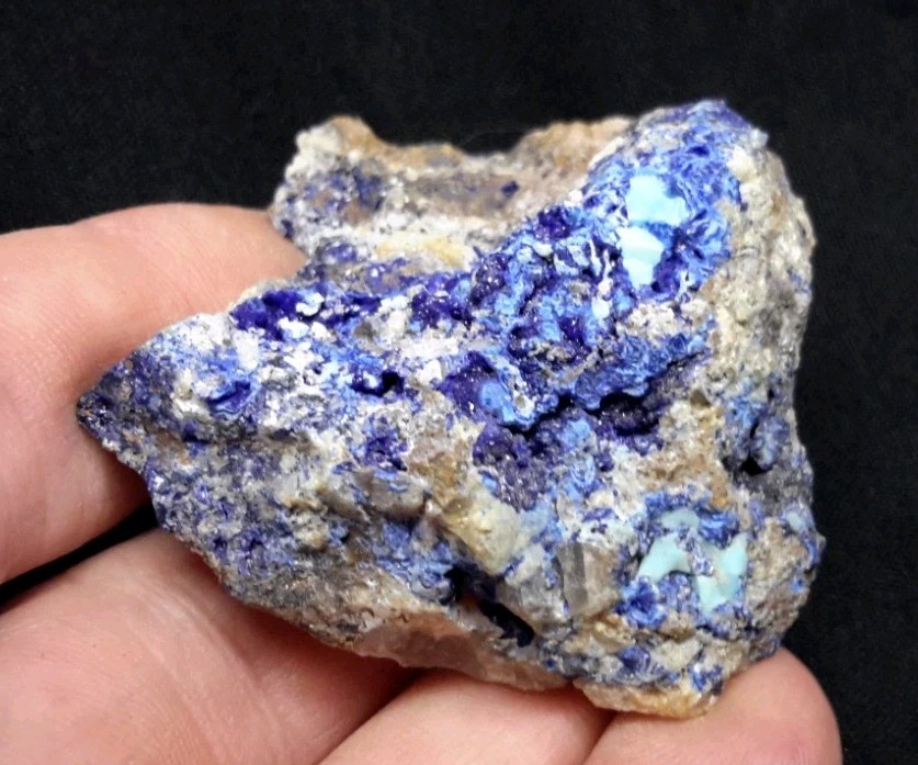 12 Piece AZURITE with QUARTZ and FLUORITE from Sierra Rica, Chihuahua, Mexico