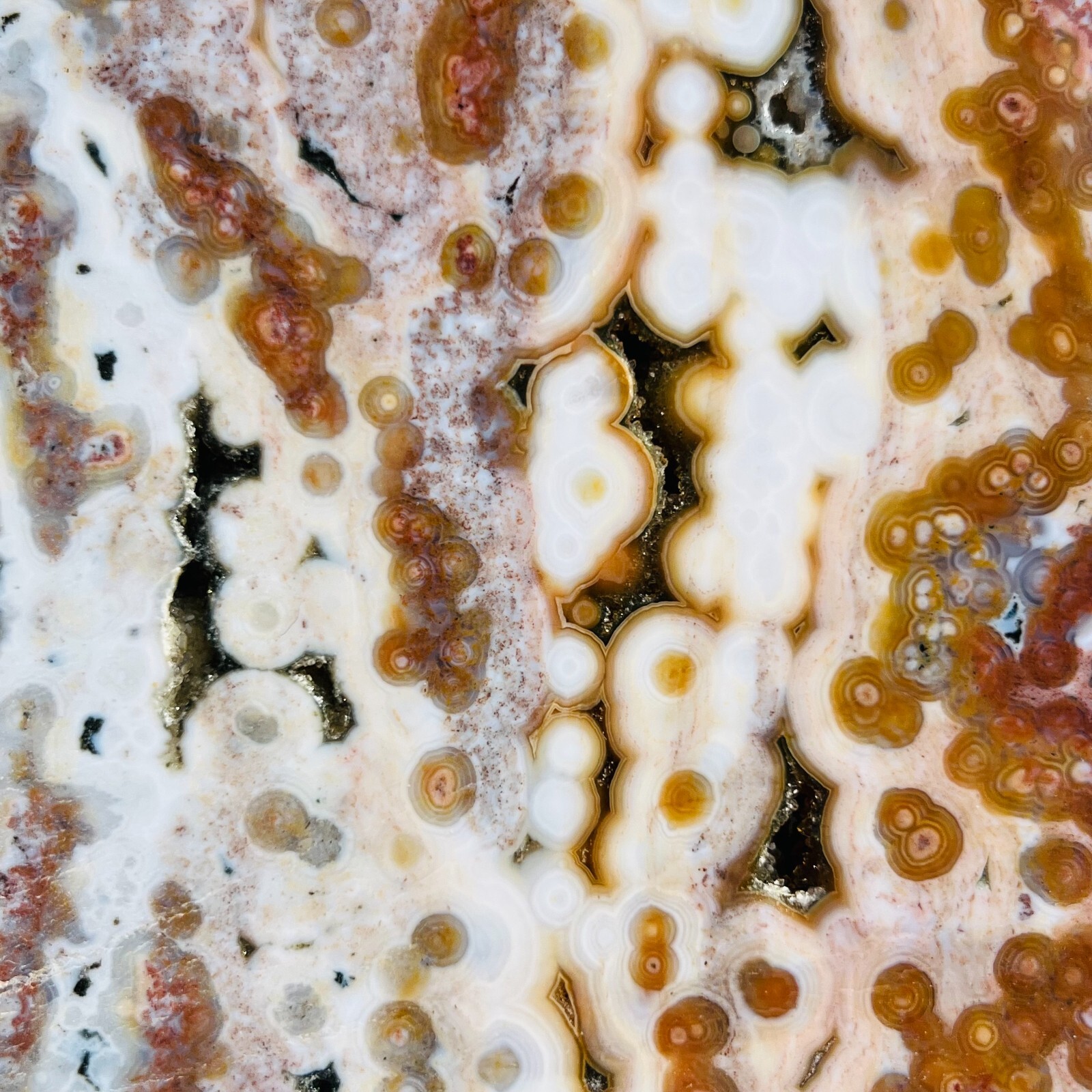3.75LB Rare Natural The 8th Vein Ocean Jasper Slab Quartz Crystal Reiki Healing