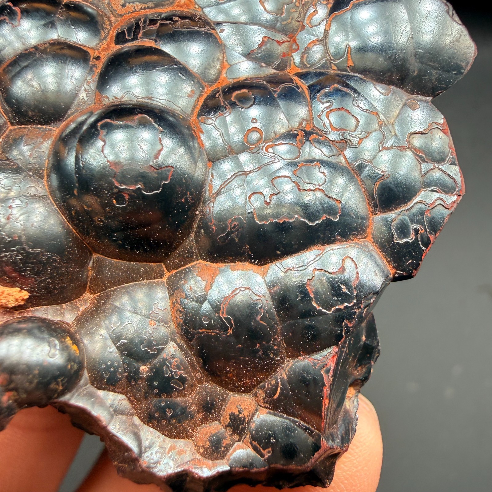 Botryoidal Hematite Specimen from Morocco 171g – Natural Iron Rose Formation