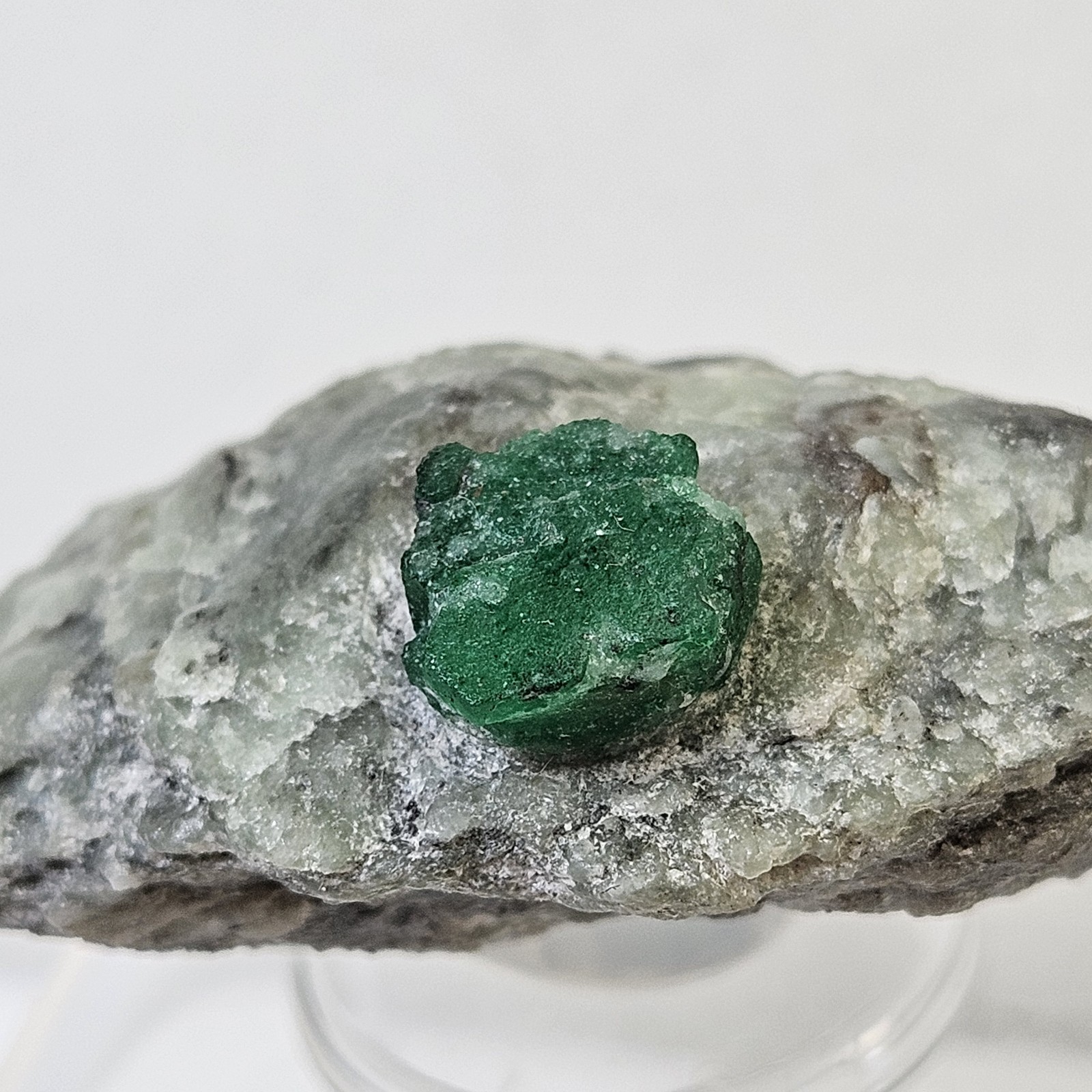 Large Fully Terminated Emerald Specimen On Quartzite Matrix U.S Seller Swat