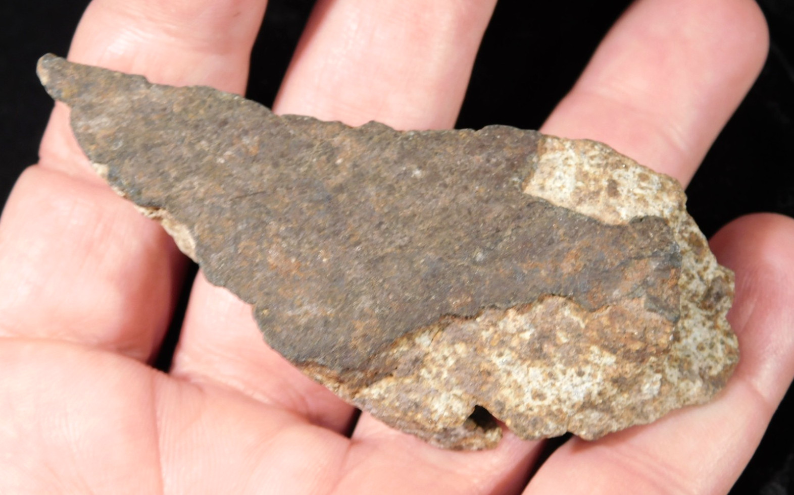 Classified NWA 8245 METEORITE Spots of Dark Fusion Crust! Erfoud, Morocco 68.7gr