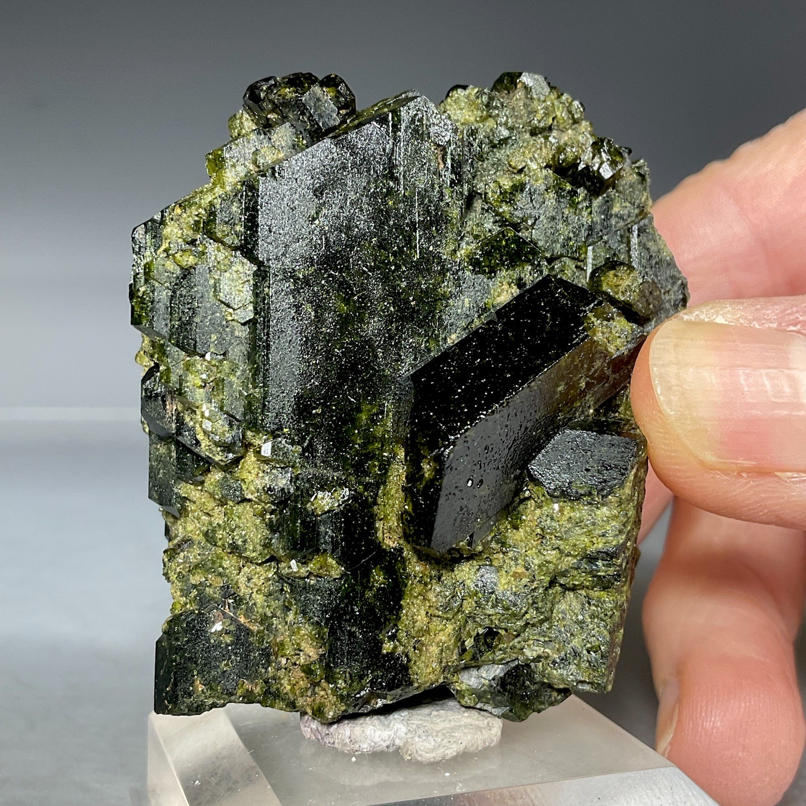 SS Rocks – Epidote (Caneto Province, Lima, Peru) 137g