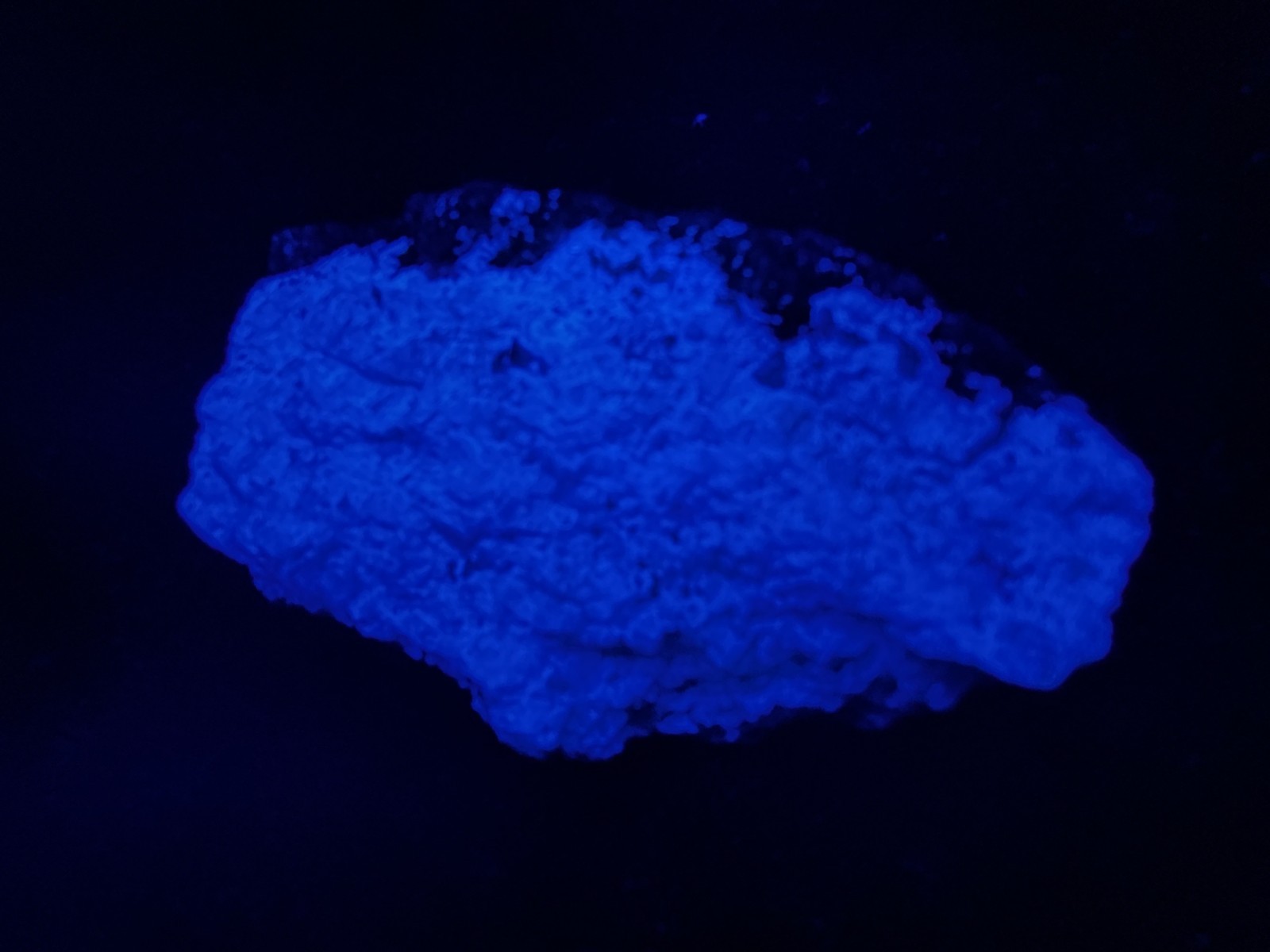KB: SW FL BRIGHT!! BLUE/WHITE SCHEELITE XLINE. ON GNEISS YUNNAN PROVINCE, CHINA