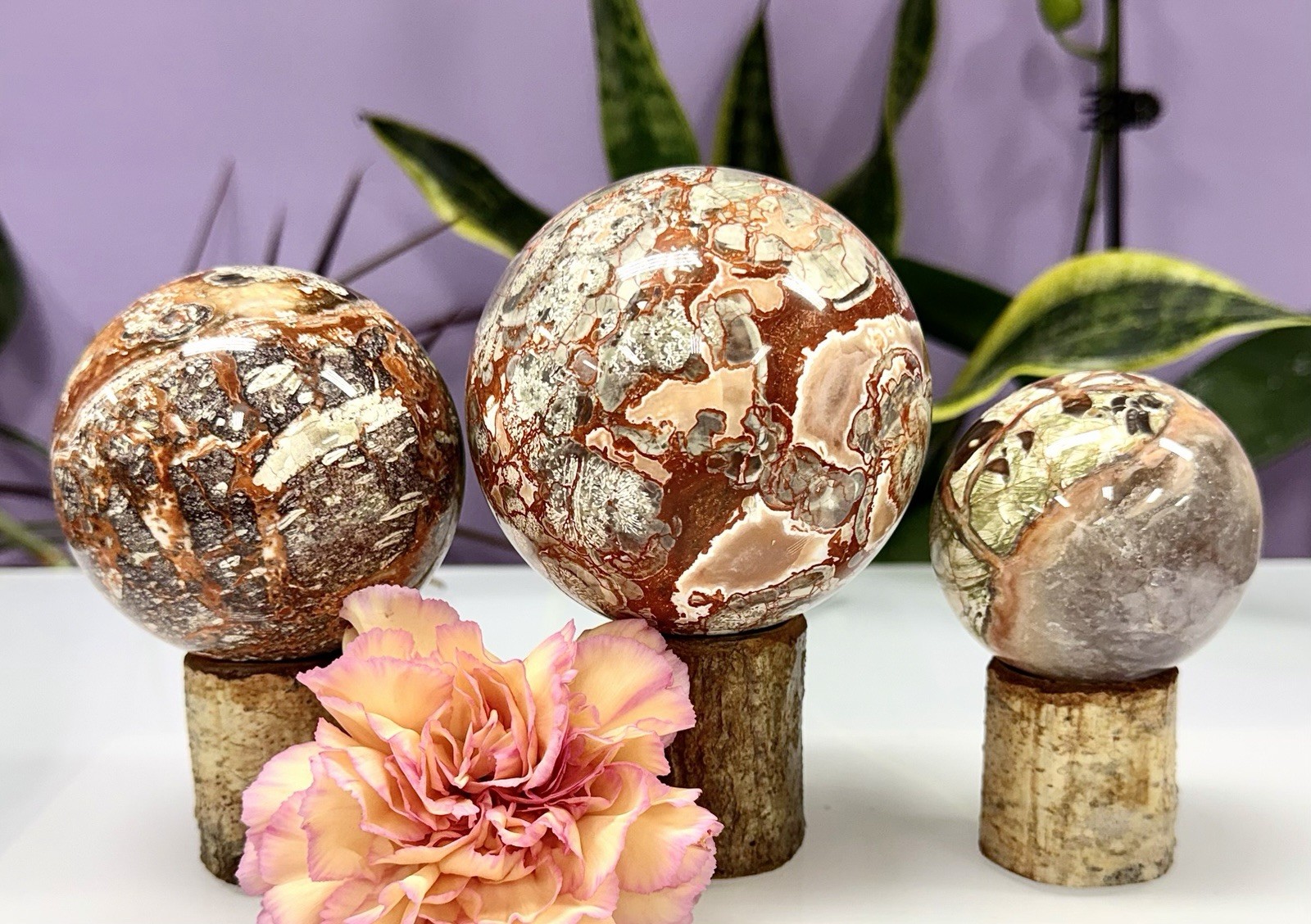 Wholesale Lot 4-5 Pcs Natural Money Agate Spheres Crystal Ball 2.8-3Lbs