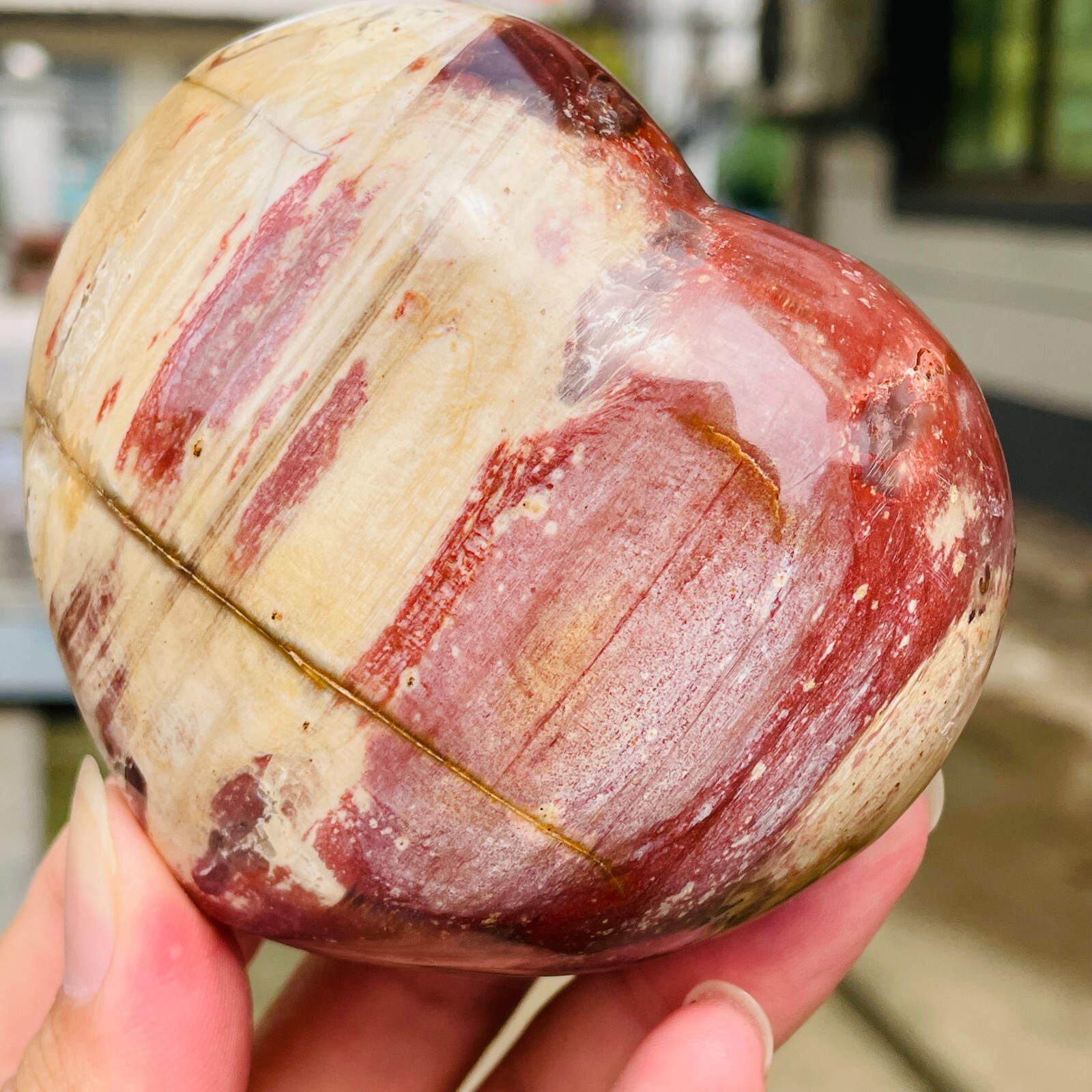 364g Natural Petrified Wood Jade Quartz Crystal Fossil Heart Shape Specimen