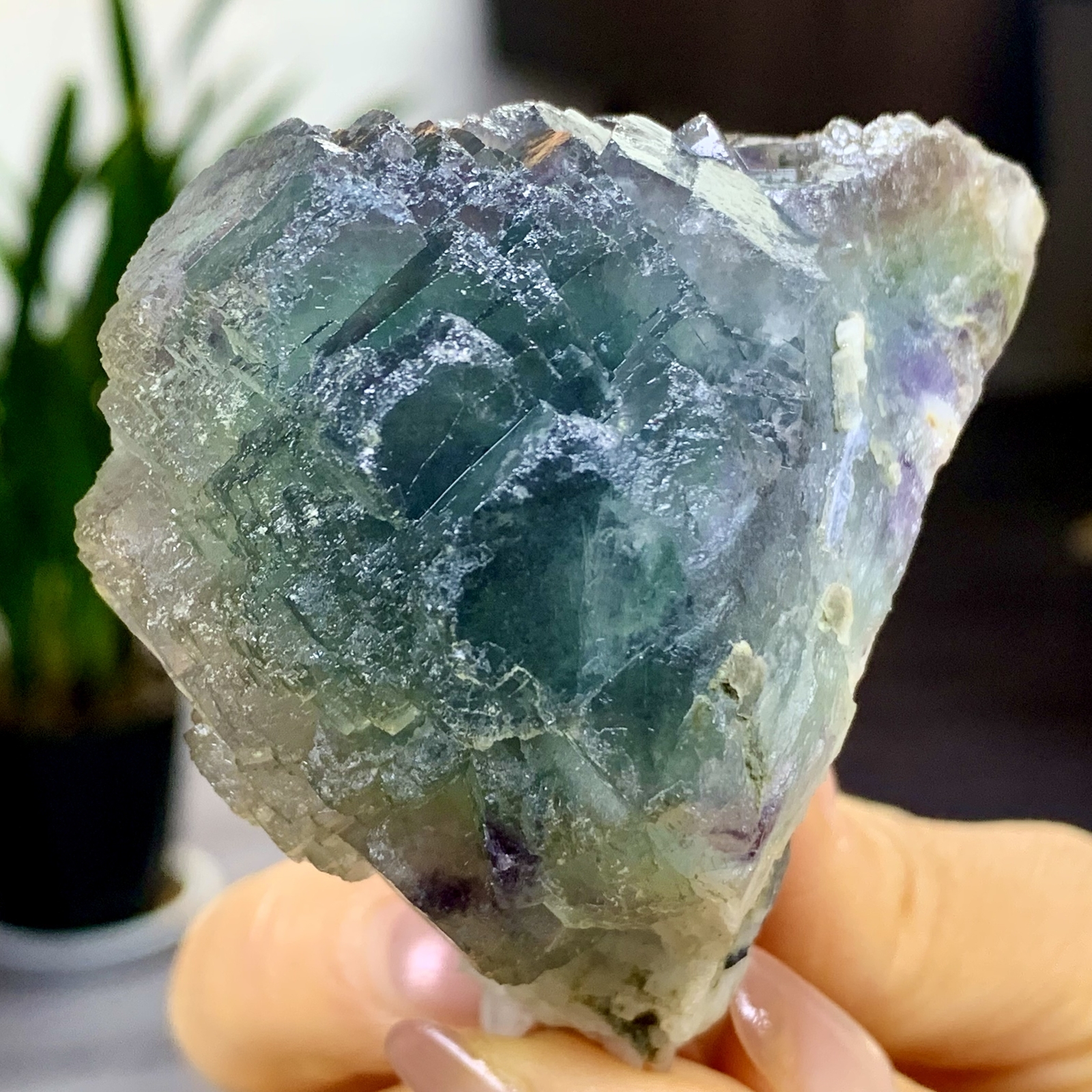 197G Rare transparent blue green cubic fluorite mineral crystal sample
