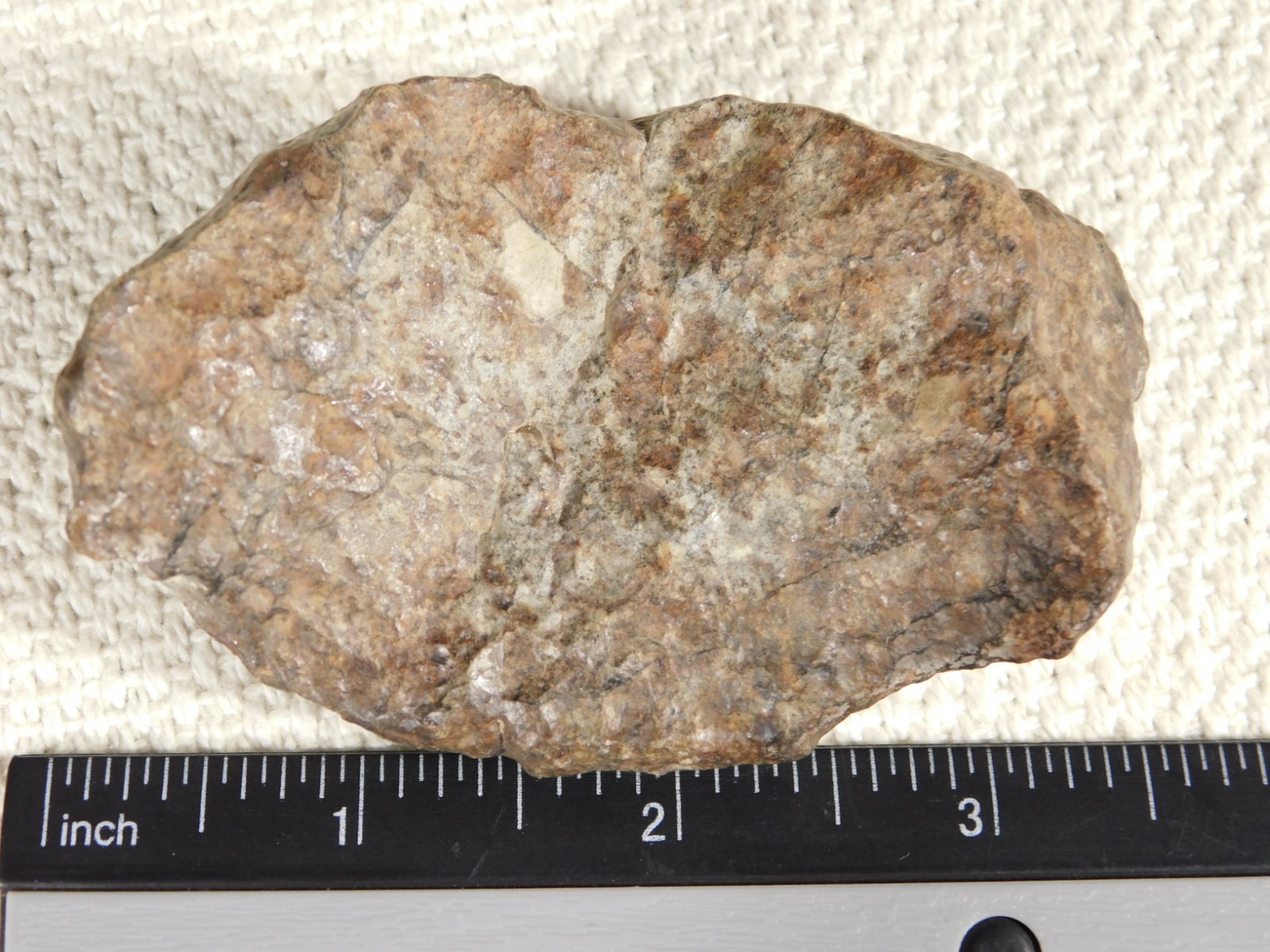 Larger N.W.A 869 Stony METEORITE with Dark Fusion Crust 197gr