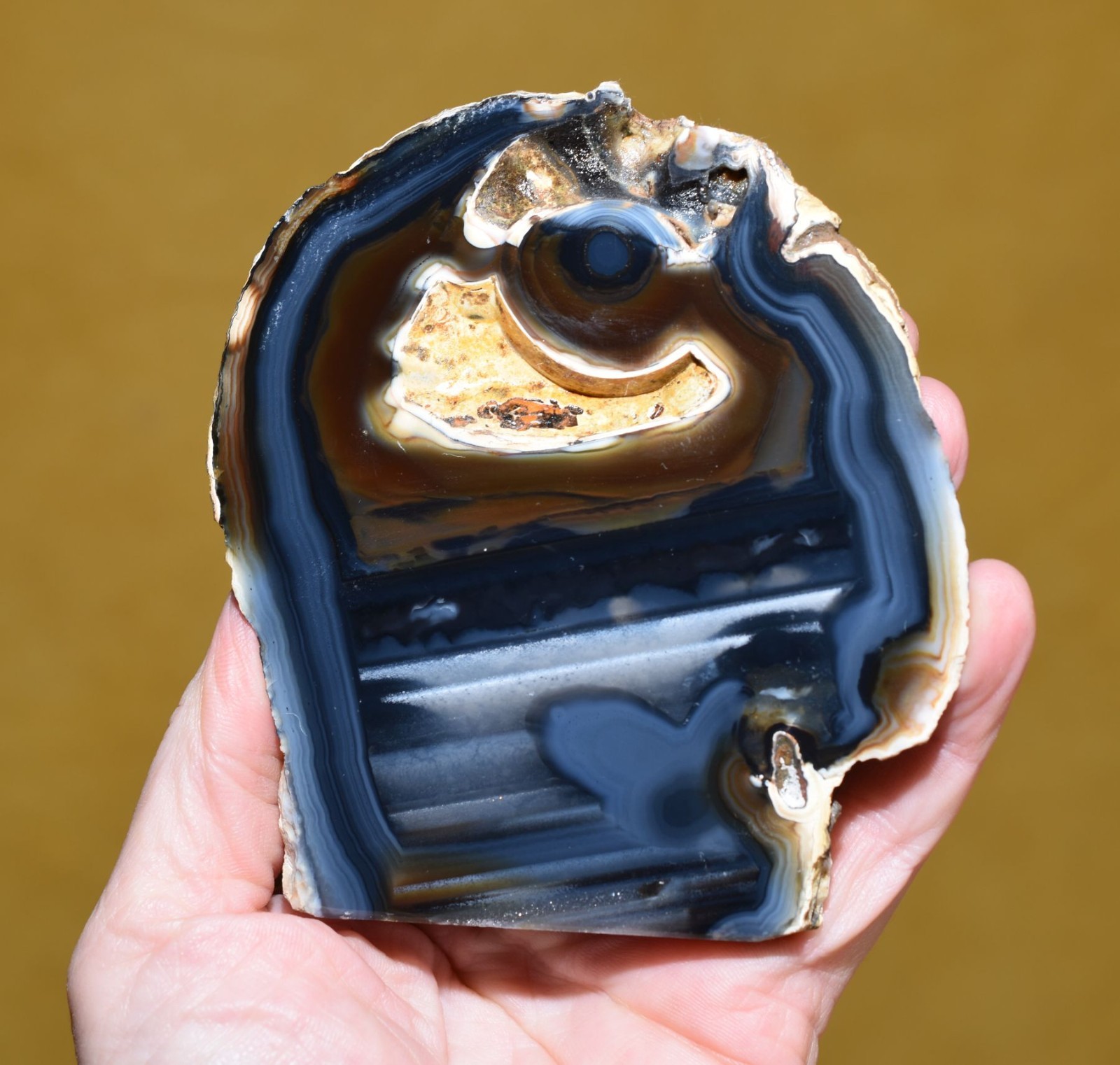 Stunning Polished Brazilian Agate End W/ Handmade Elegant Wood Display Stand