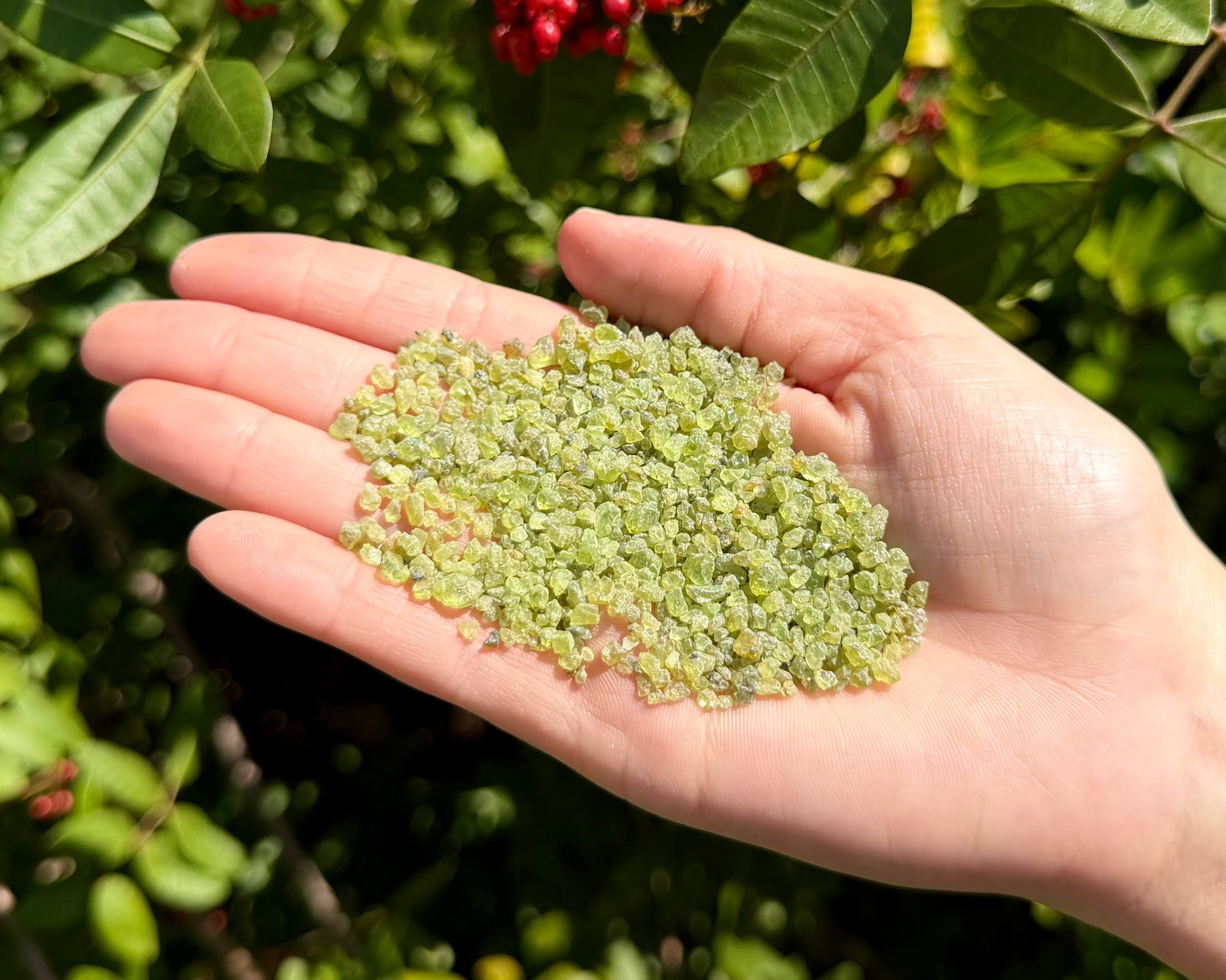 Peridot Semi Rough Gemstone Chips 2-4 mm Wholesale Lots (Natural Peridot Chips)