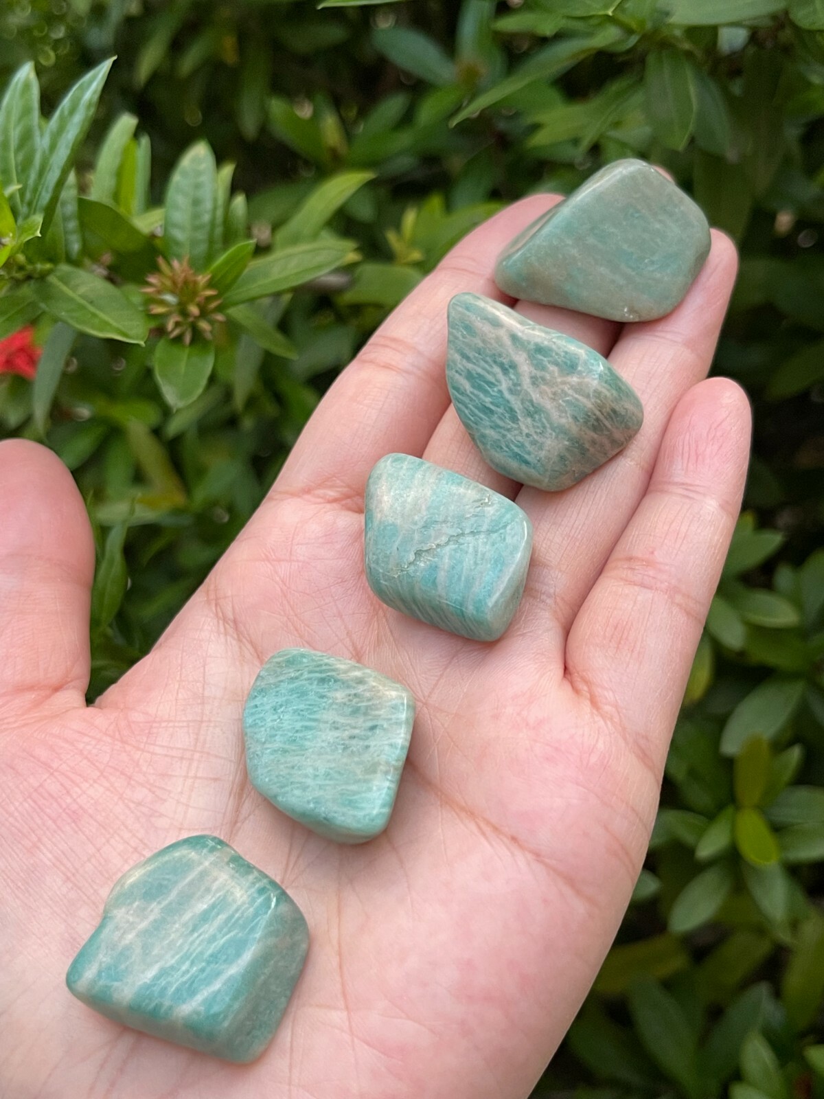 Grade A++Amazonite Tumbled Stones, 0.8″-1.25″ Polished Amazonite, Wholesale Lots