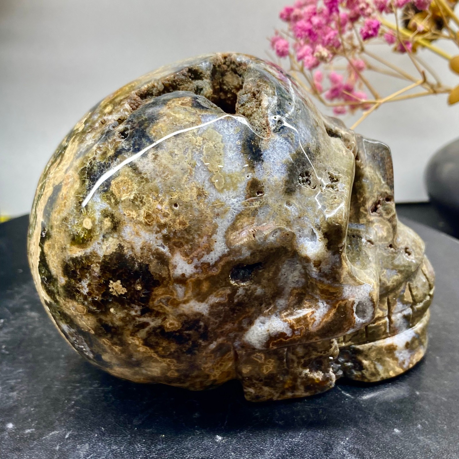 2.55LB Natural ocean jade hand carved skull collection