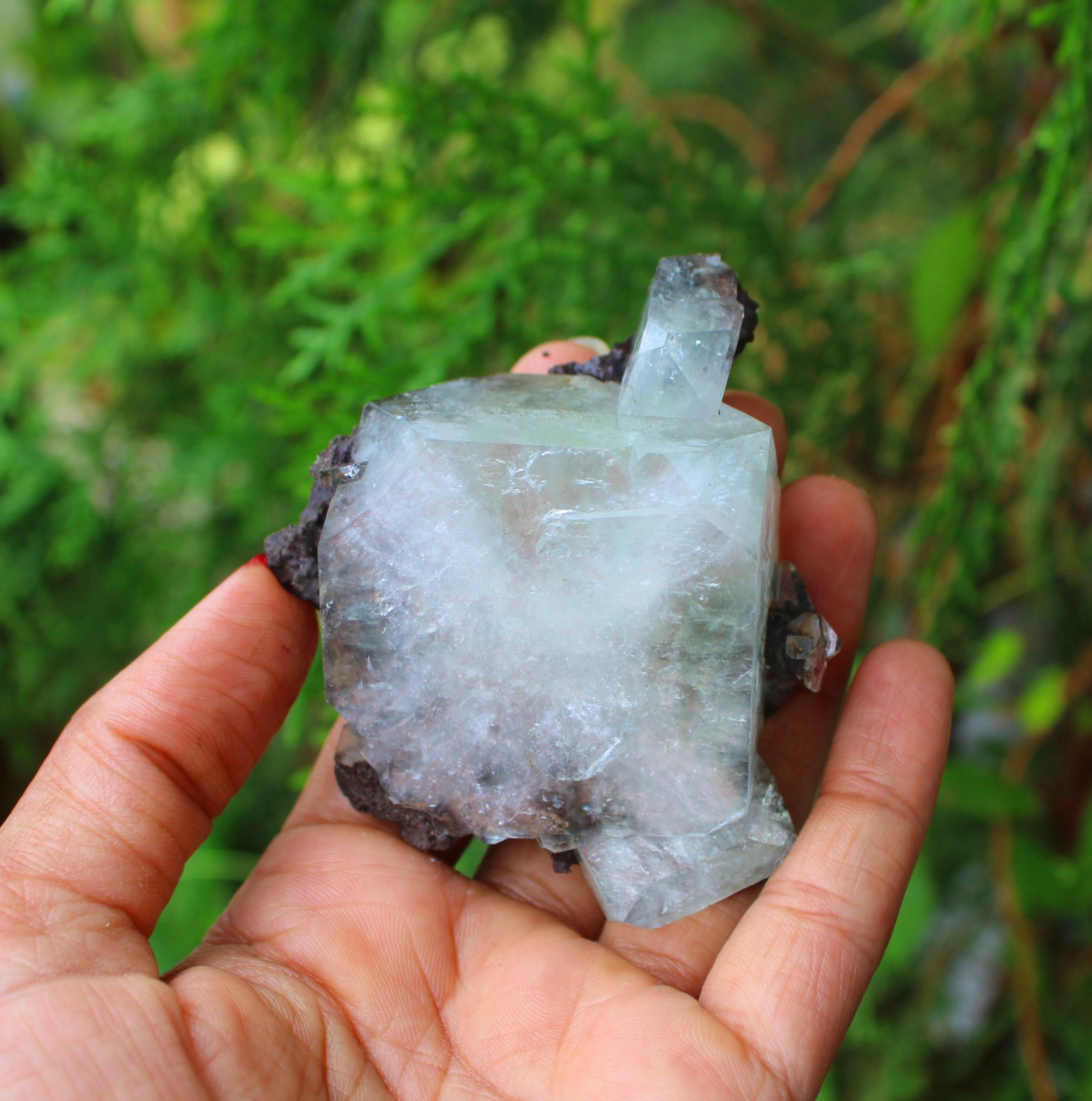 GREEN APOPHYLLITE CRYSTALS MINERALS SPECIMEN
