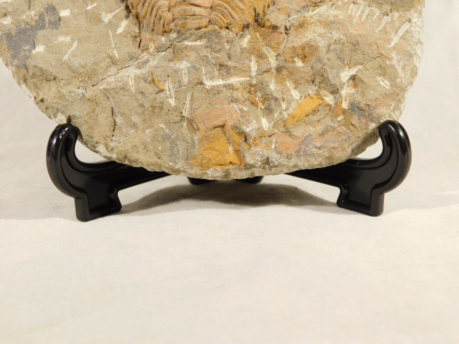 Easel Display Stand Folding Black Color MEDIUM Size