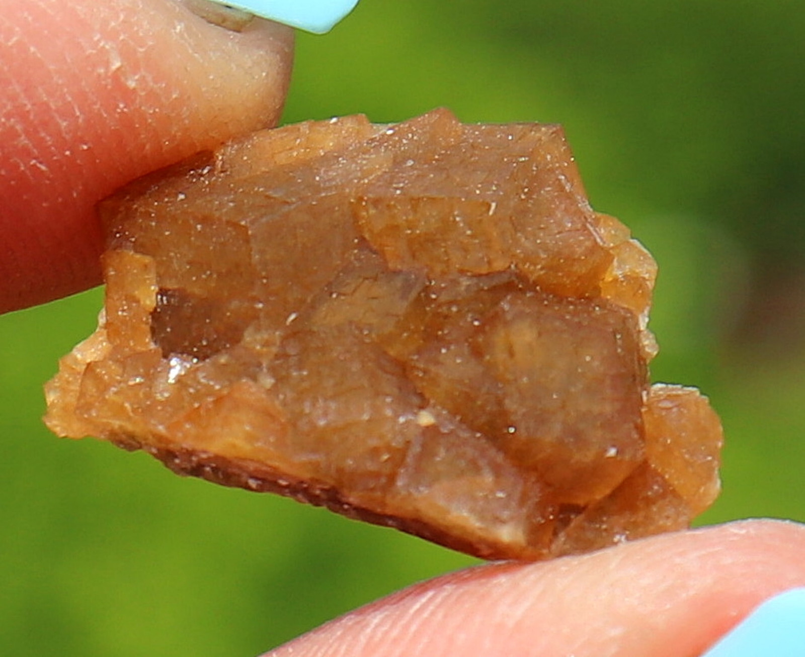 Andradite Garnet Gemmy Golden Brown From Dal’negorsk Russia 1.8 Cm’s