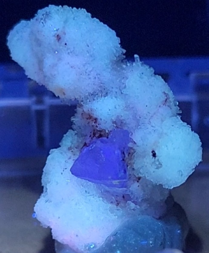 🌟ULTRA-REACTIVE LILAC CREEDITE FLOWER – Qinglong Mine, China🌟