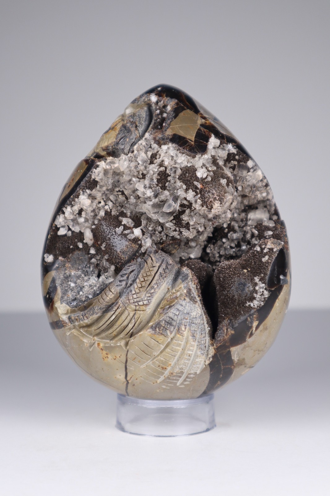 Huge Septarian Dragon Egg 4.3lb Calcite Crystal Cave Fossil Shell Display Stone
