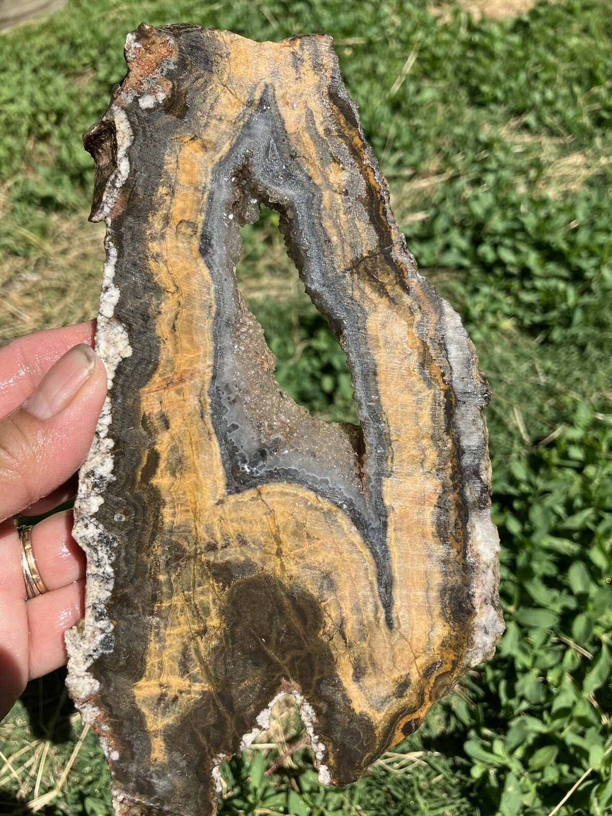 Black And Gold Agate Slab (New Mexico)