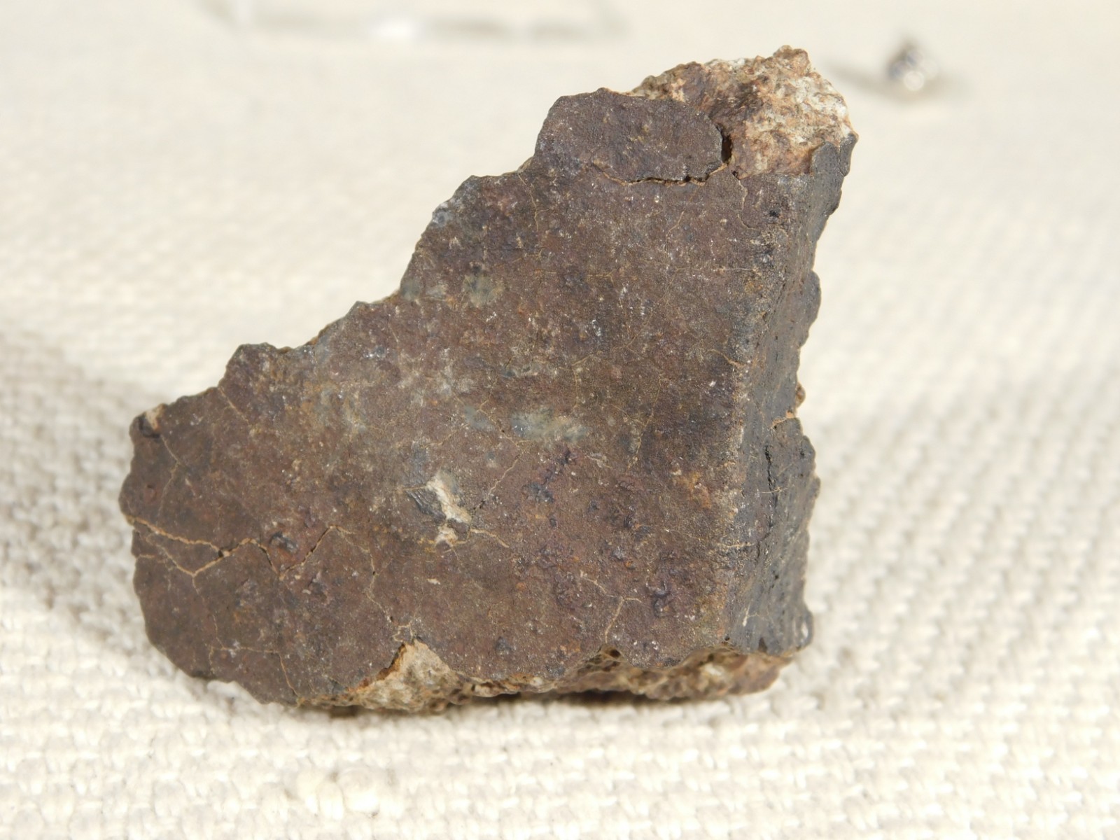 Classified NWA 8245 METEORITE 100% Natural FELL on Erfoud, Morocco 114gr