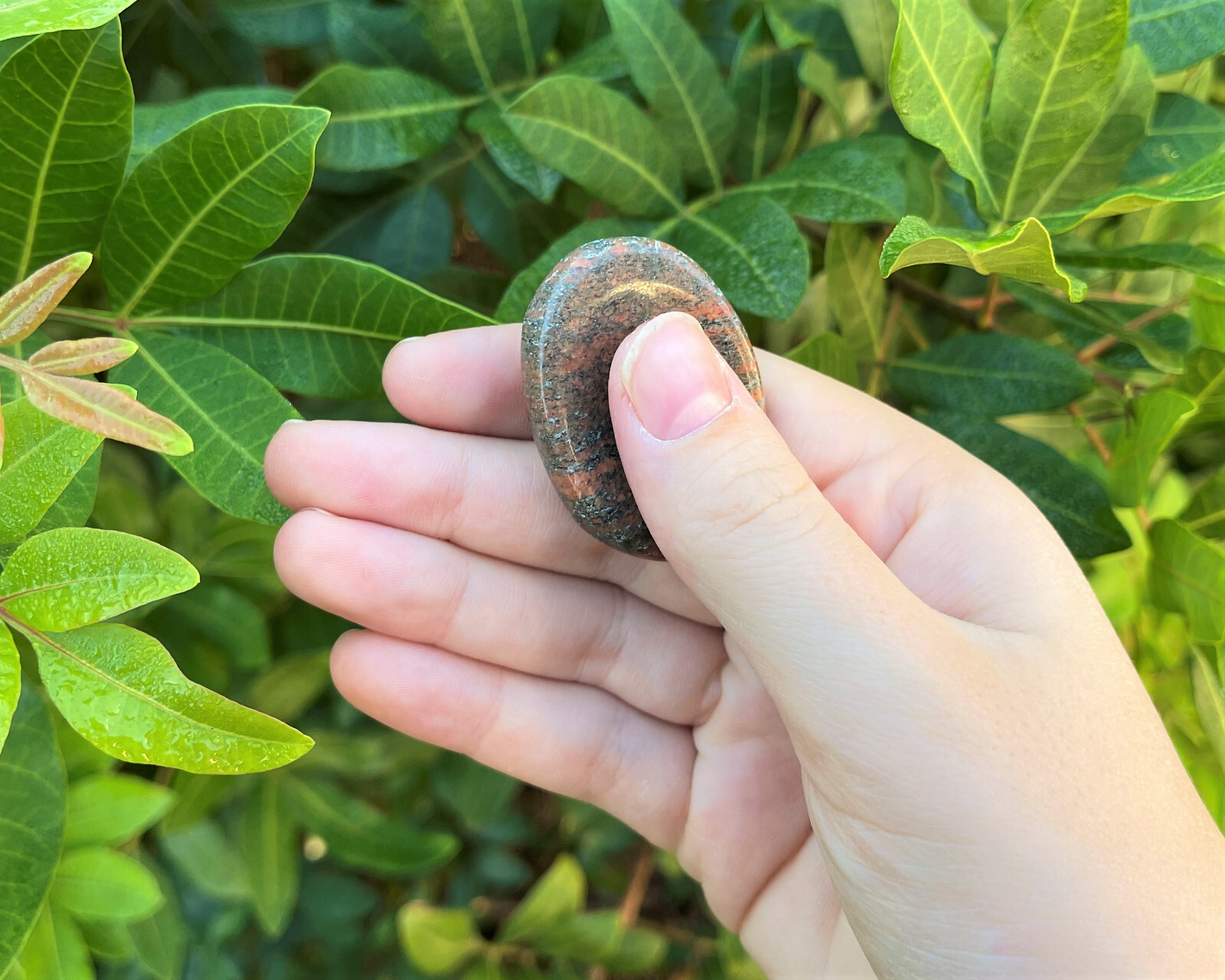 Unakite Worry Stone (Smooth Polished Pocket Gemstone, Unakite Palm Stone)