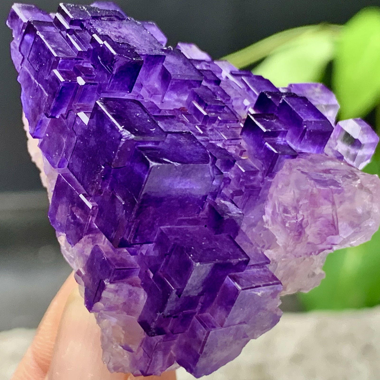 53G Natural purple fluorite Matrix array stepped fluoritemineral specimen/China