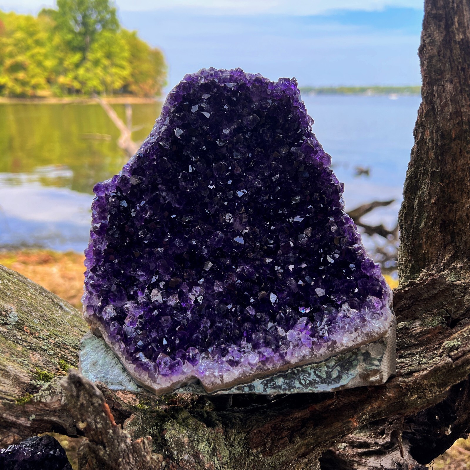 HUGE XXXL LARGE Amethyst Druze Crystal Cluster With Cut Base Specimen ~ 4-6 Lbs
