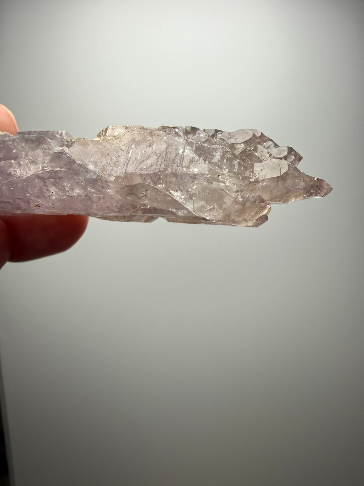 AMAZING Jacare Amethyst- Buridan’s Mule Claim, New Mexico- RARE PIECE!