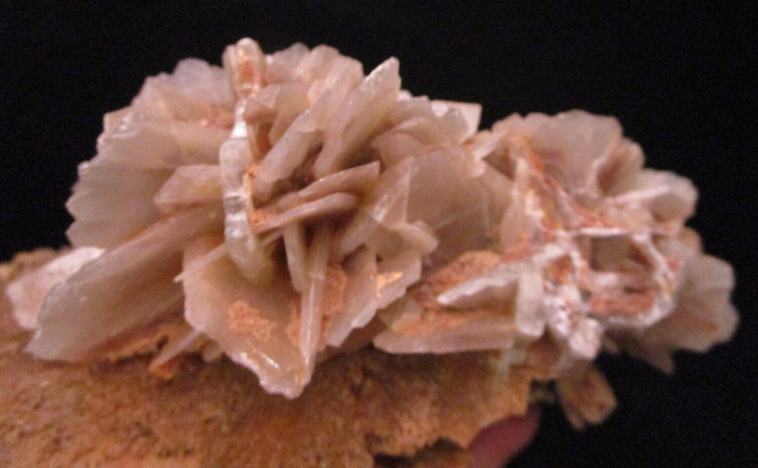 * Interesting and Unique Barite Gem Crystal Blade Clusters on Tan Matrix