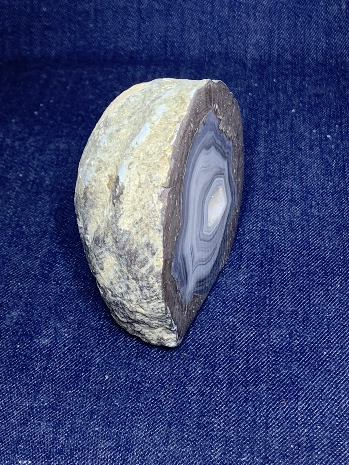 Thunder Egg Display Half ( Oregon )