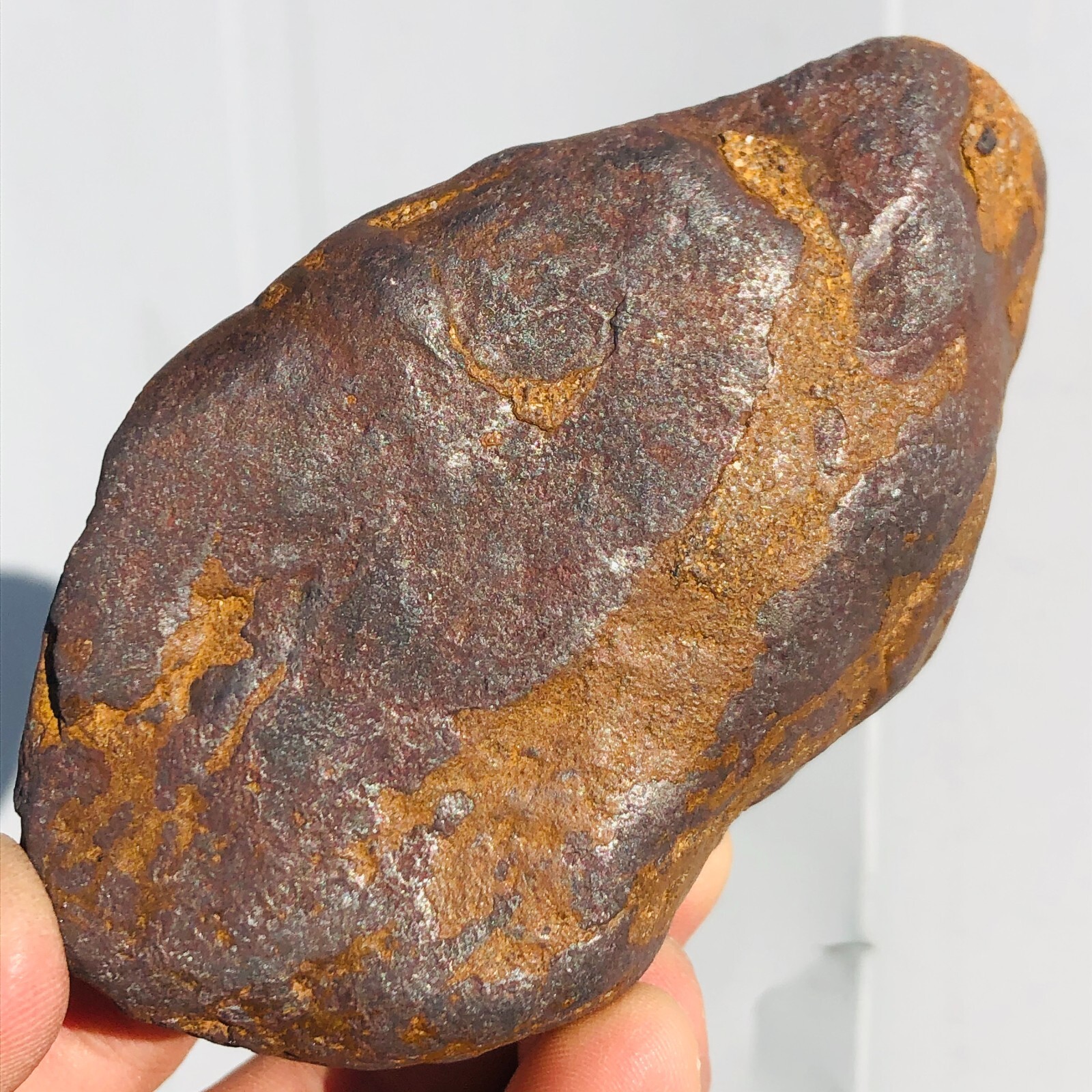 1.62lb STONY IRON H CHONDRITE METEORITE Polished Carved Space Rock Specimen