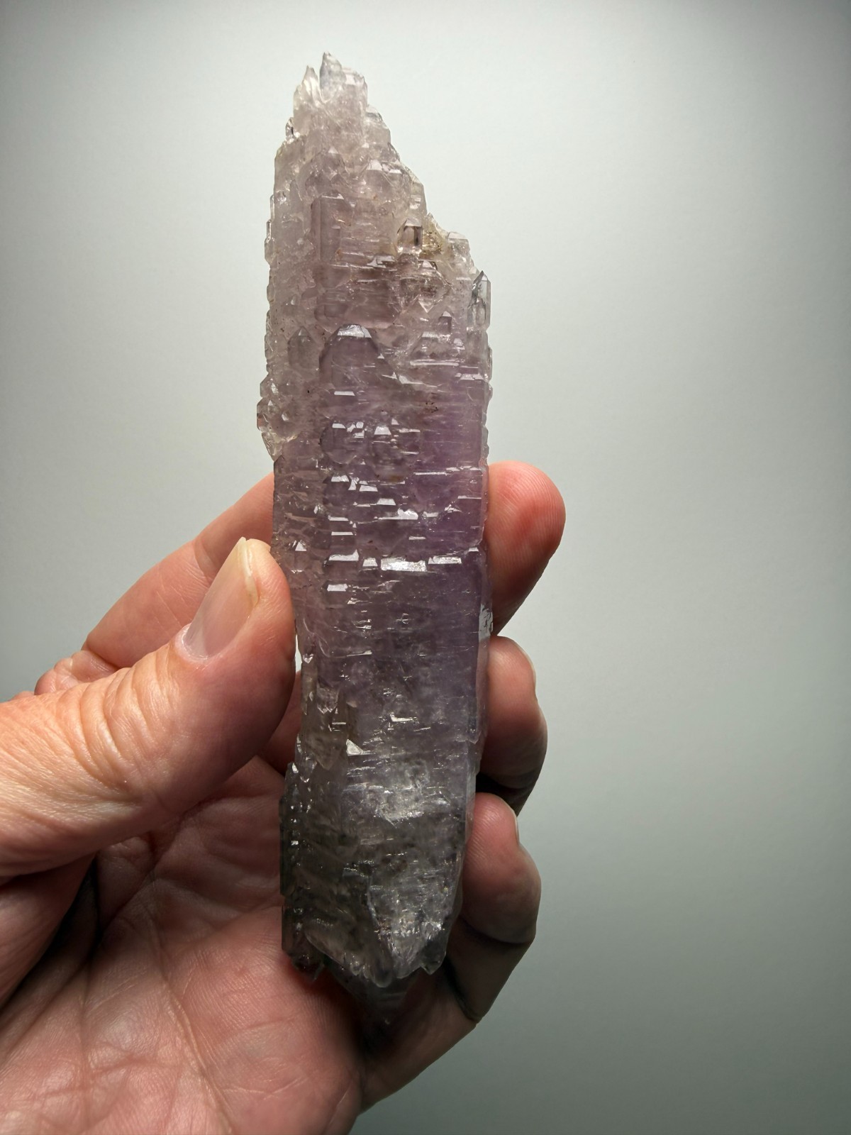AMAZING Jacare Amethyst- Buridan’s Mule Claim, New Mexico- RARE PIECE!