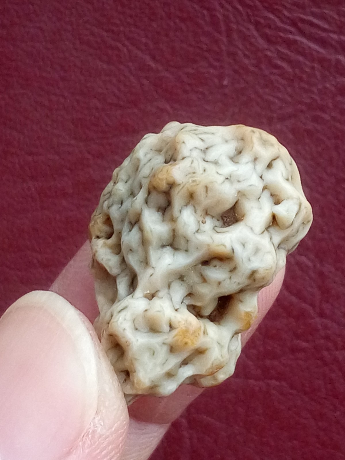 5 pieces Beautiful Natural GoBi agate veins agate Landscape stone