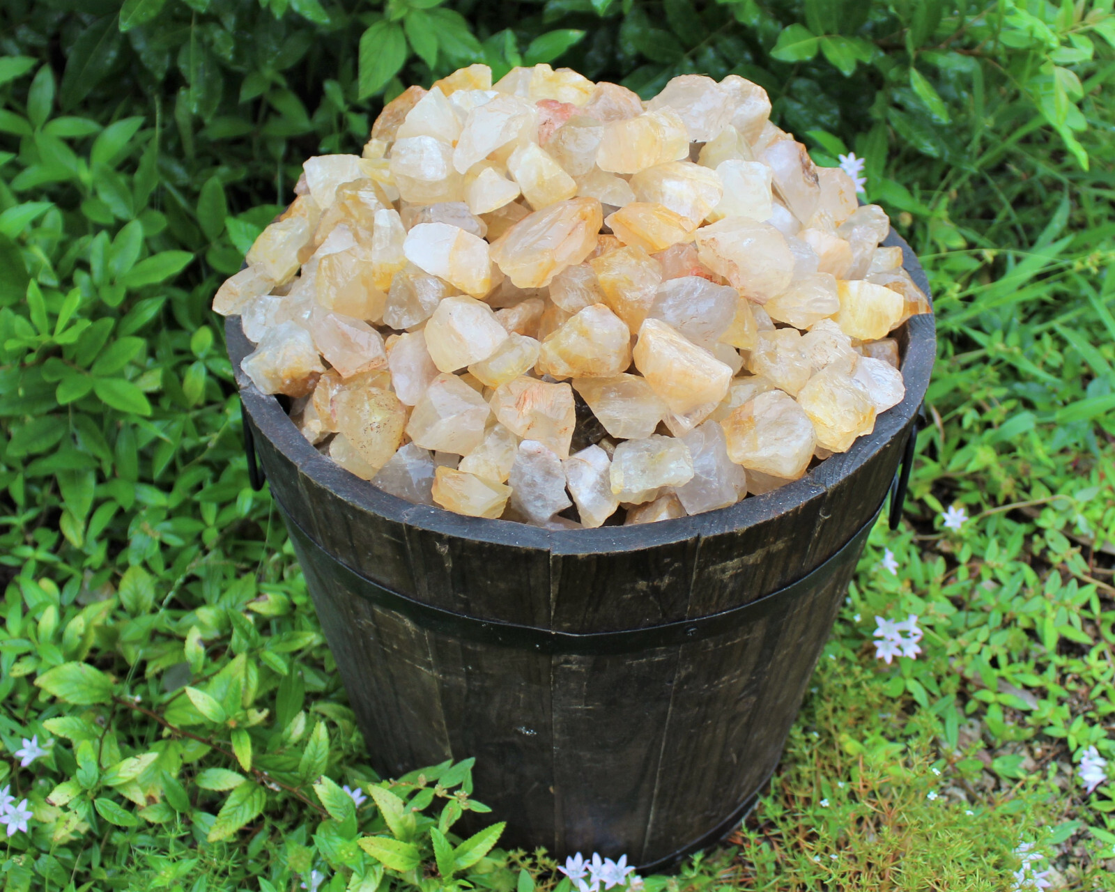 Golden Healer Quartz Rough Natural Crystals Wholesale Lots (Raw Golden Quartz)