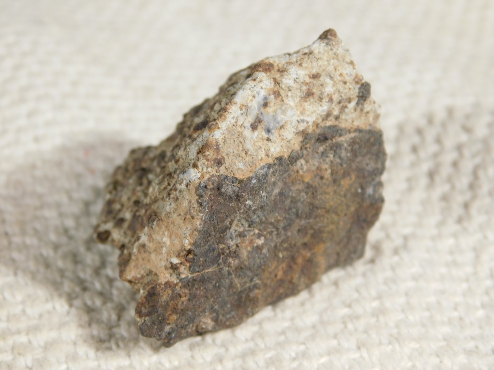 Classified NWA 8245 METEORITE 100% Natural FELL on Erfoud, Morocco 47.3gr