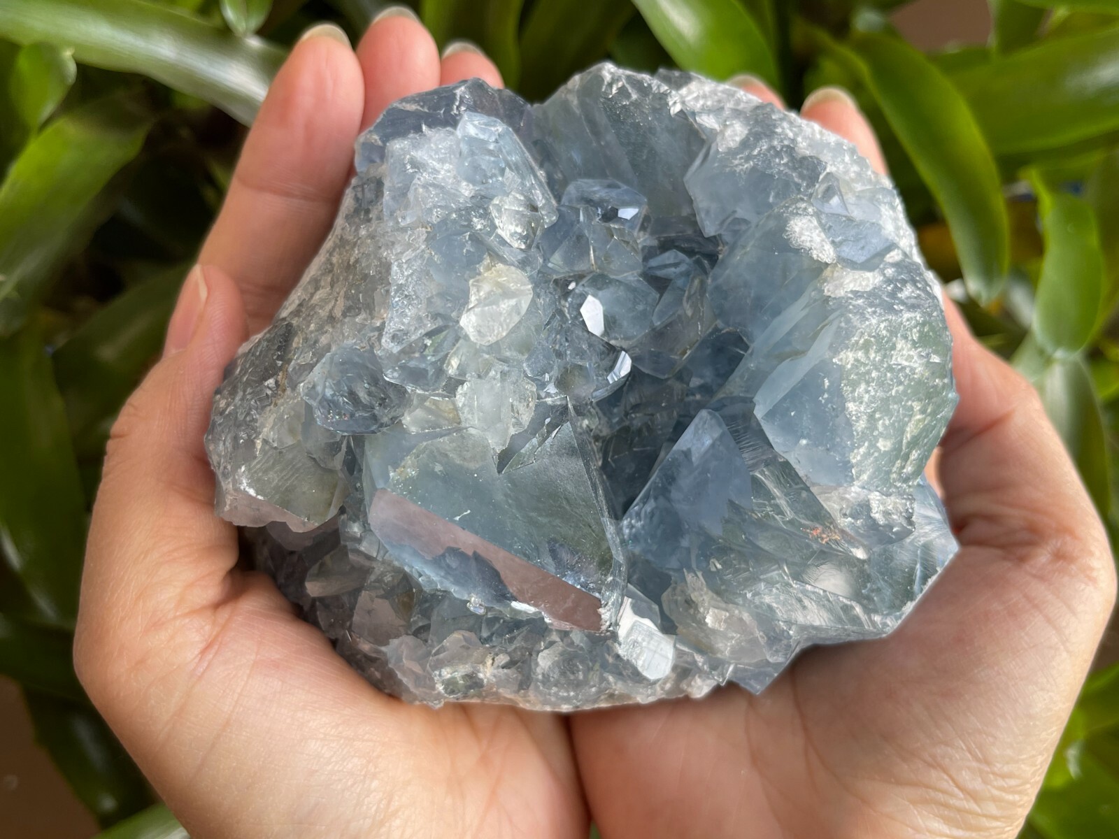 Raw Celestite Cluster, Celestite Geode, Natural Blue Celestite, Pick a Weight