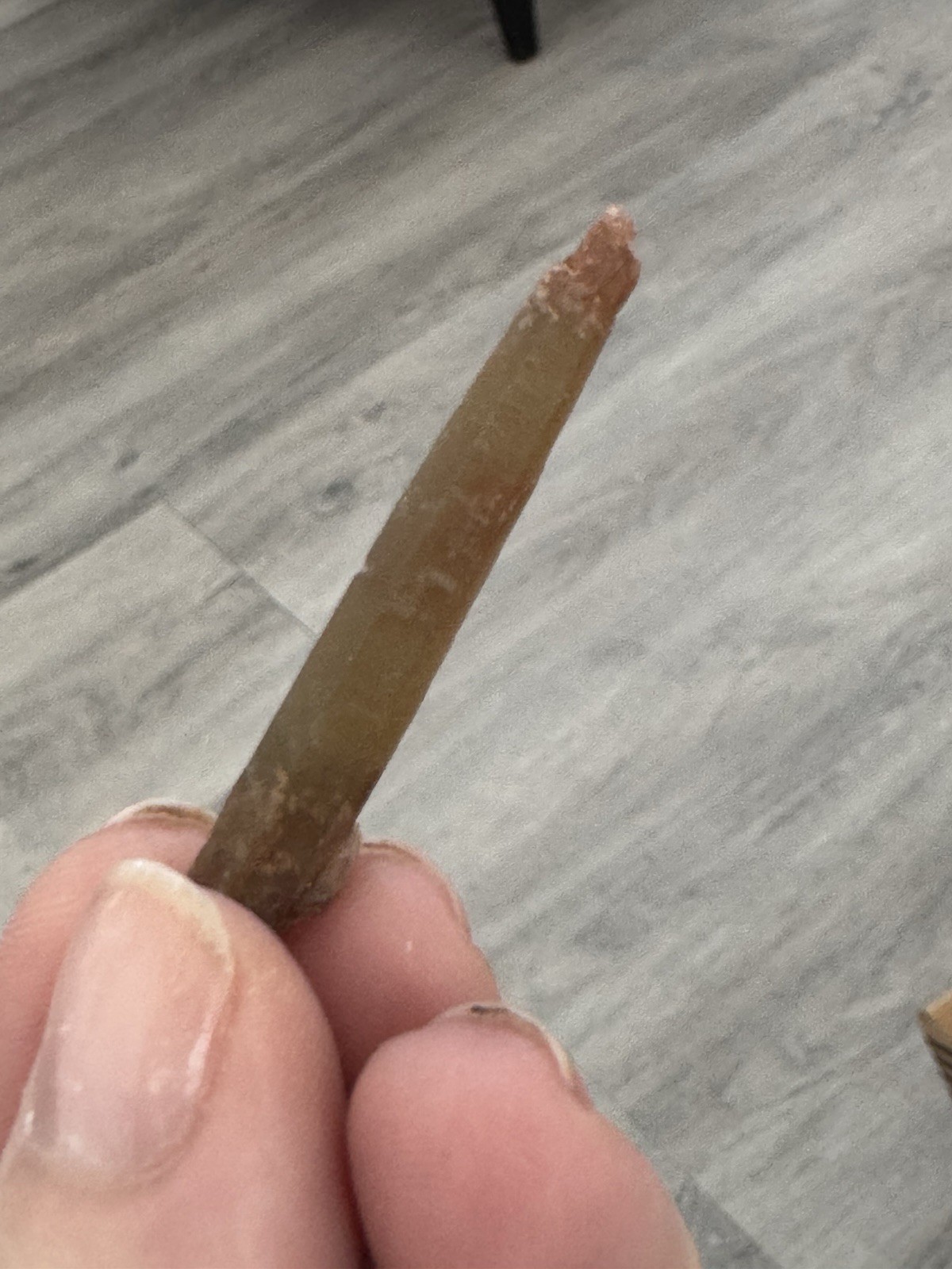 ✨3- Lemurian Singing Smokey Quartz #3