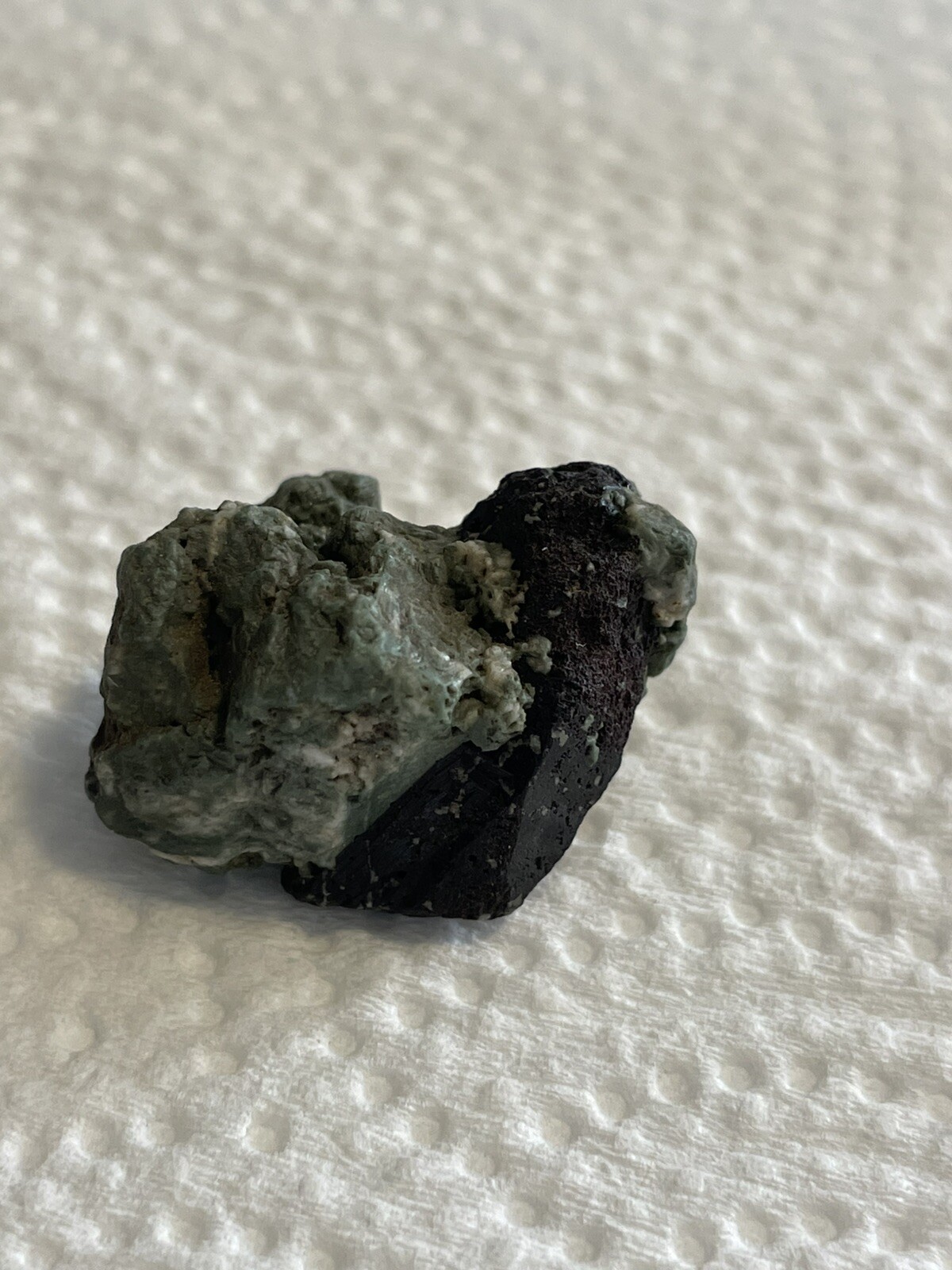 Neptunite Embedded In Blue/green Schist Ore