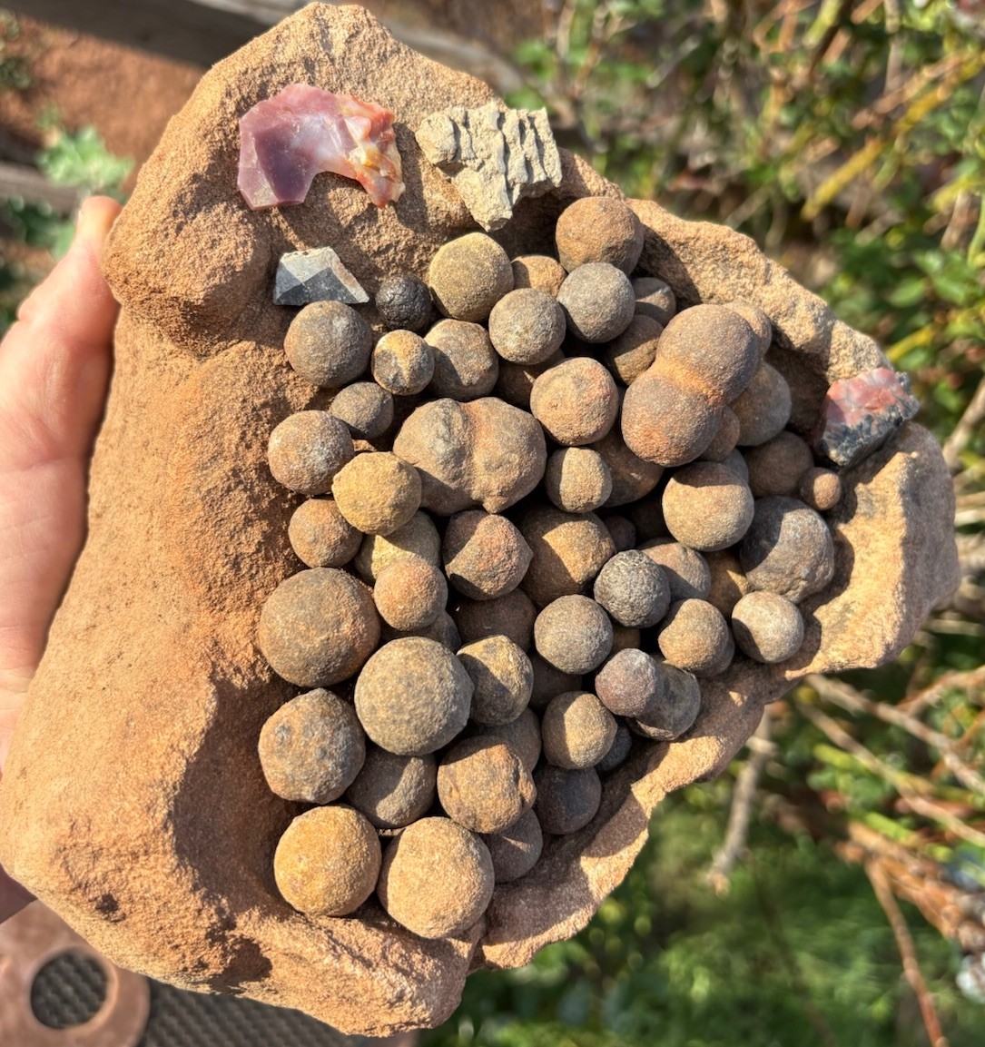 ☘️RR⛏️: Moqui Marbles/Shards On Sandstone Base High Desert Northeast Az. 6.75 Lb