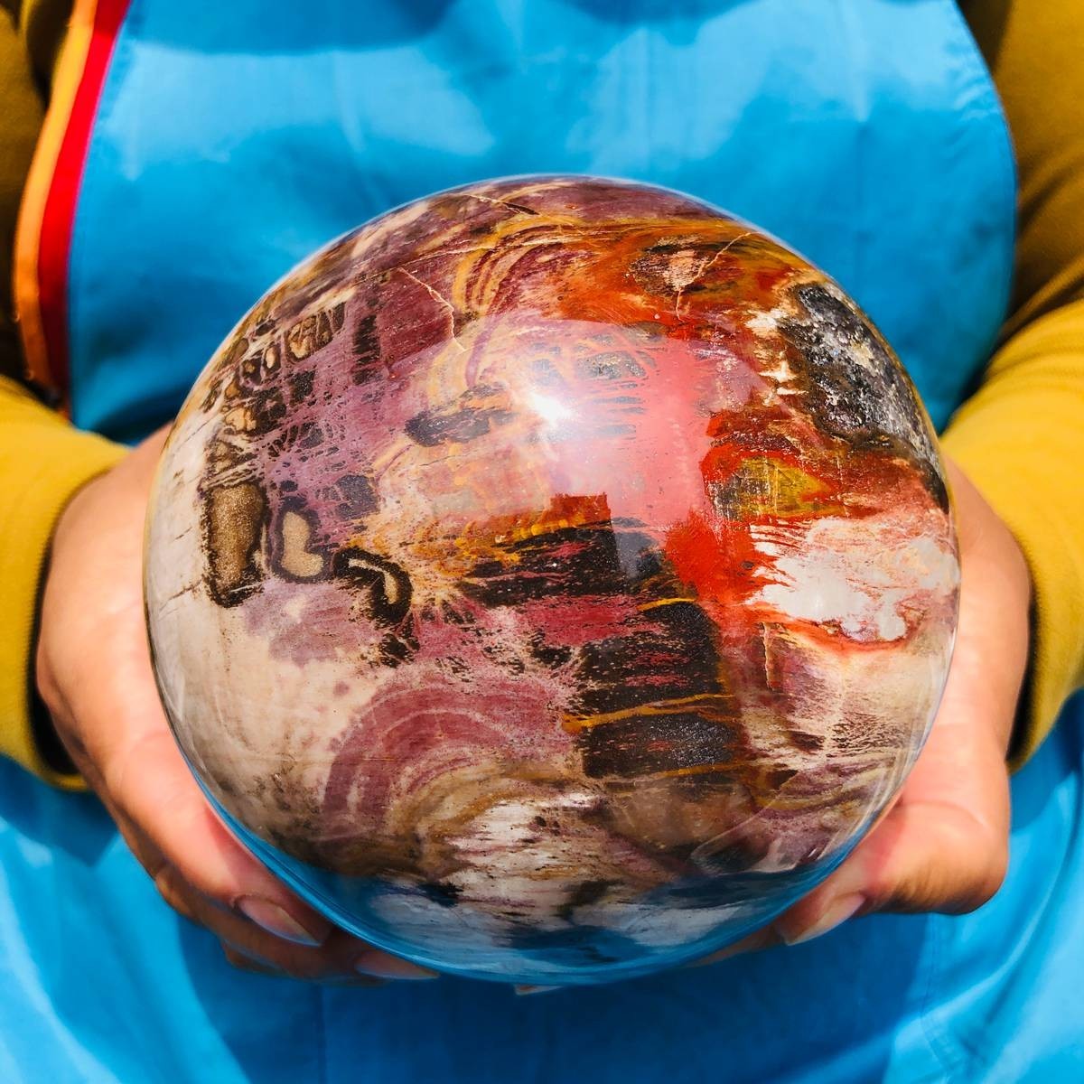 4.59LB Natural Petrified Wood Sphere Polished Crystal Ball reiki healing