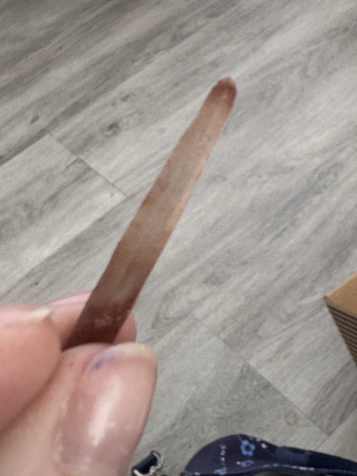 ✨3- Lemurian Singing Smokey Quartz #3