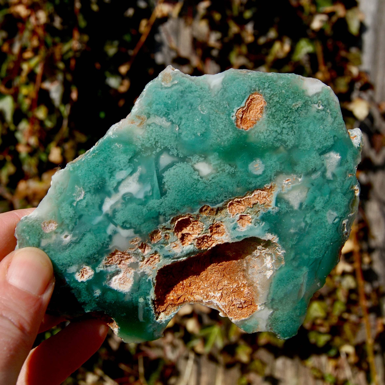 5.25in 237g Large Mtorolite Chrome Chalcedony Crystal Slice, Zimbabwe mtl4