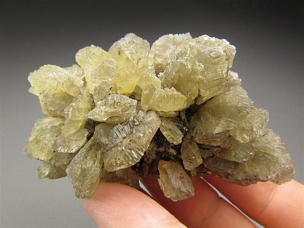 Selenite, Vienna, Austria