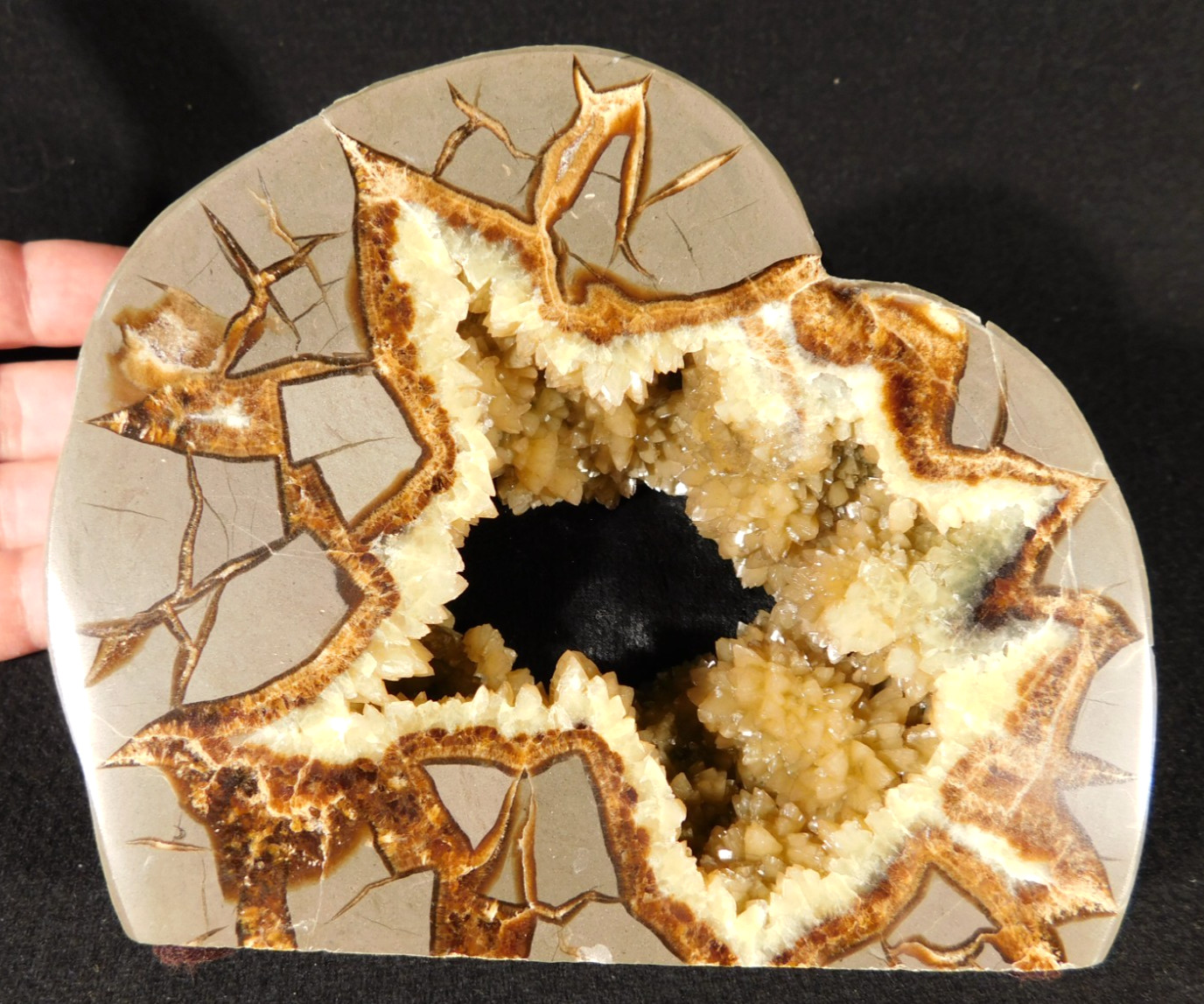 Big! Polished AAA Crystal Filled Hollow Septarian GEODE FREE Standing Utah 780gr