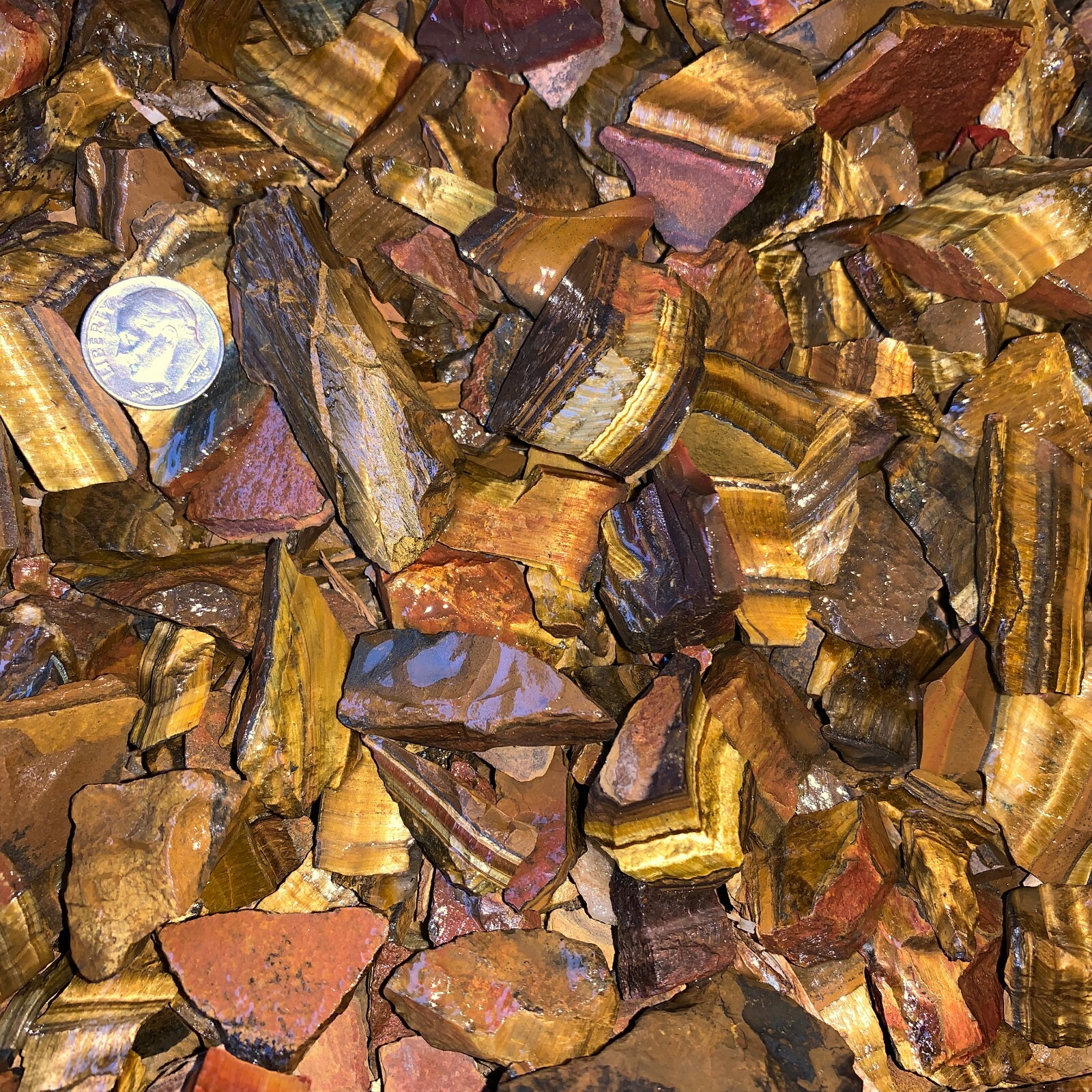 (SMALL) GOLD Tiger Eye Rough – 3000 Carat Lots + a FREE Faceted Gemstone