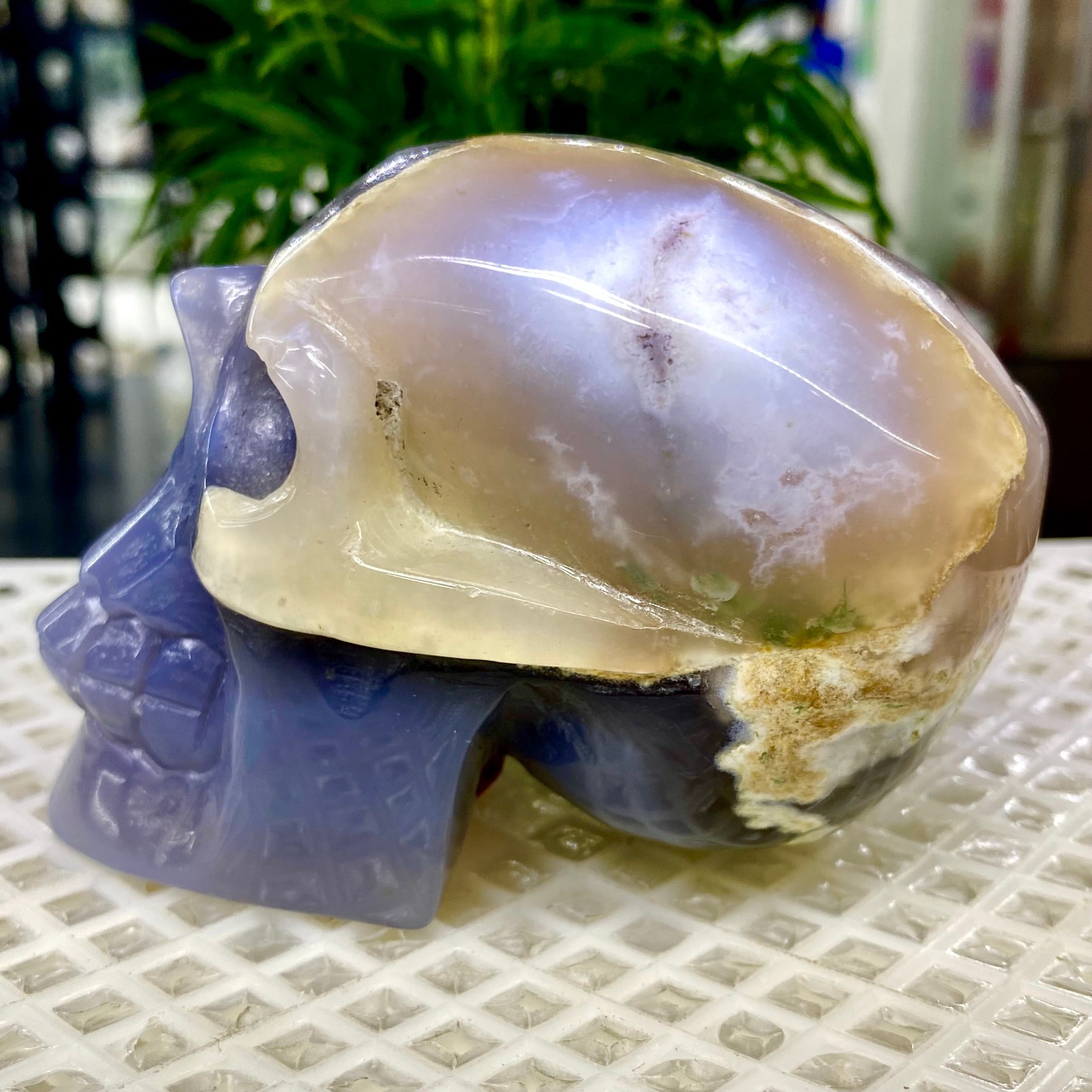 465G Natural Crystal Rare Banded Blue Flower Agate Skull Carving