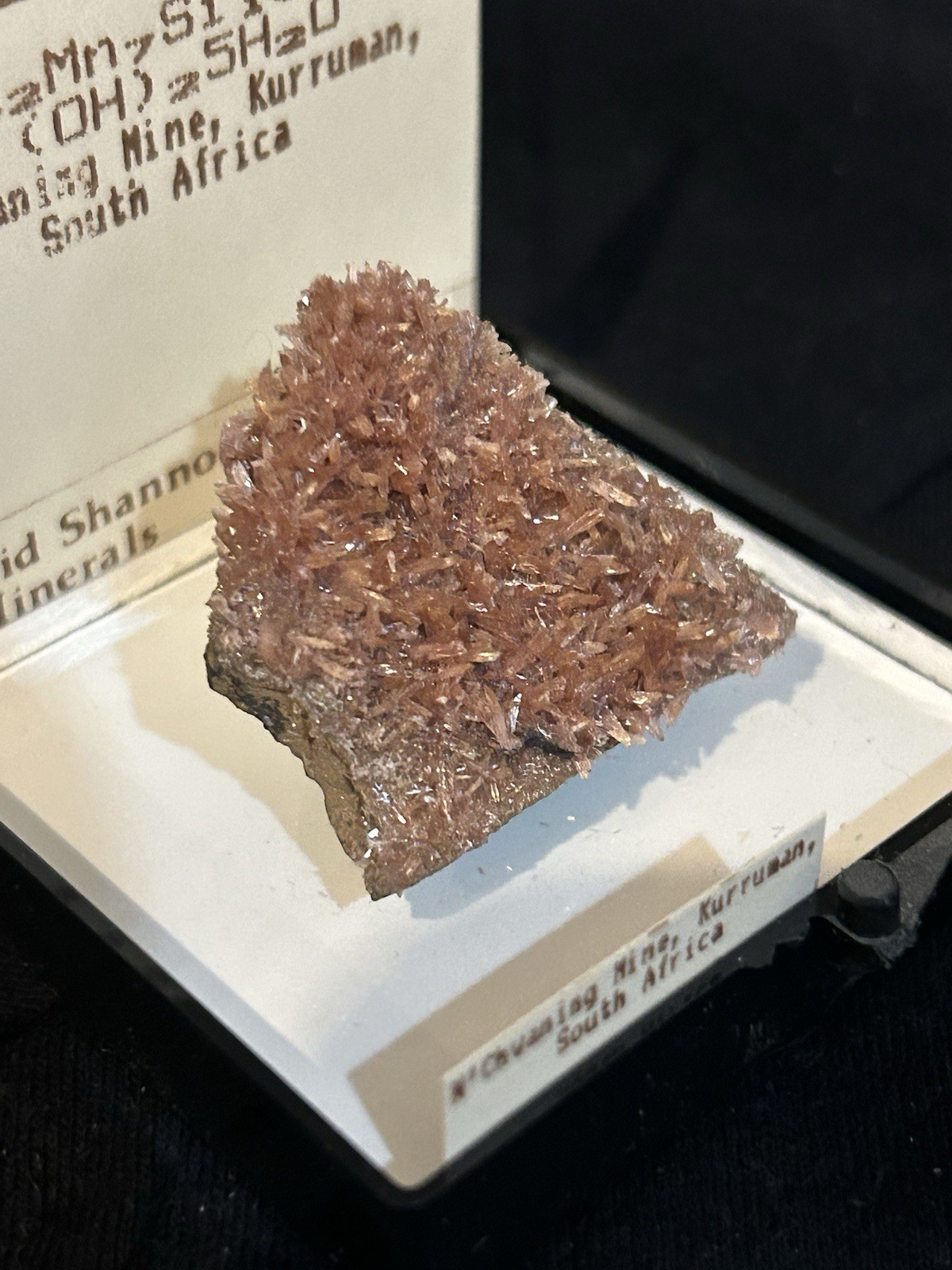Inesite N’chwaning Mine, Kurruman, South Africa Miniature 3×2.5 Cm