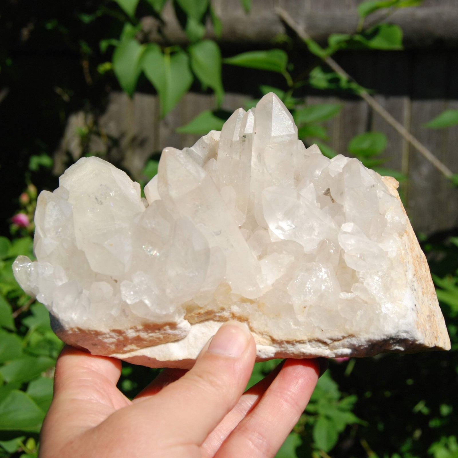 2lb 6.5in Large Clear Quartz Crystal Cluster, Zambia zc1