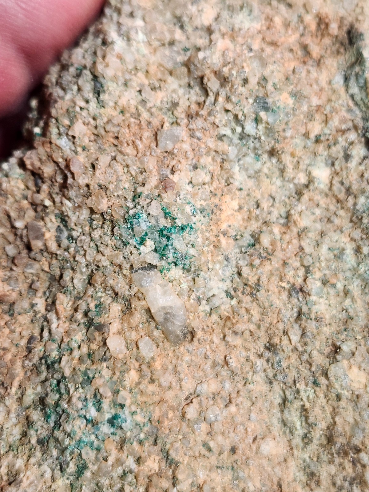 Wood replaced by Copper, Azurite/Malachite Tints, Nacimiento Mine, Cuba, NM