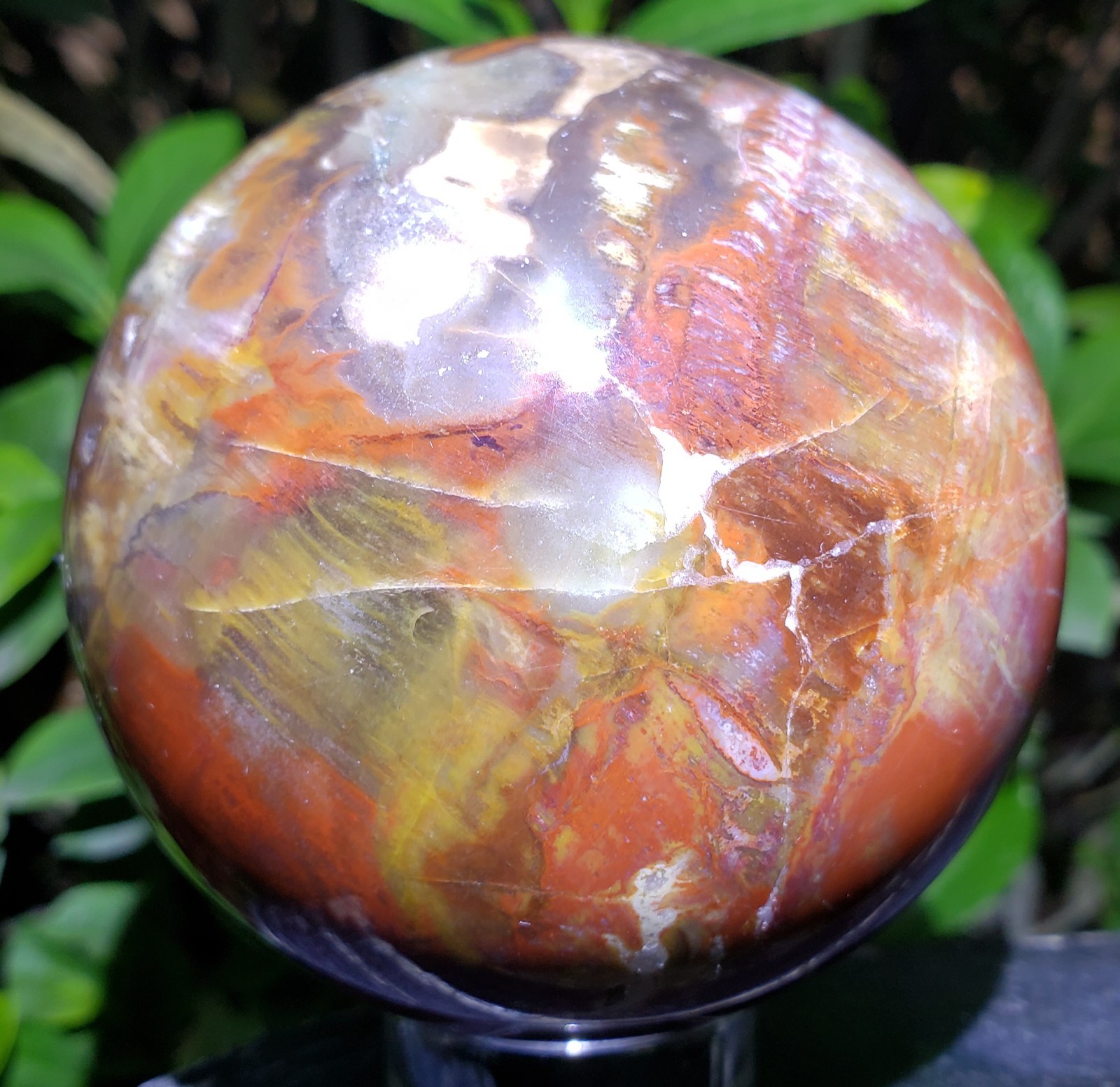 3.1″ Red Petrified Wood Sphere Orb Quartz Crystal Ball Fossil Mineral UV, 652g