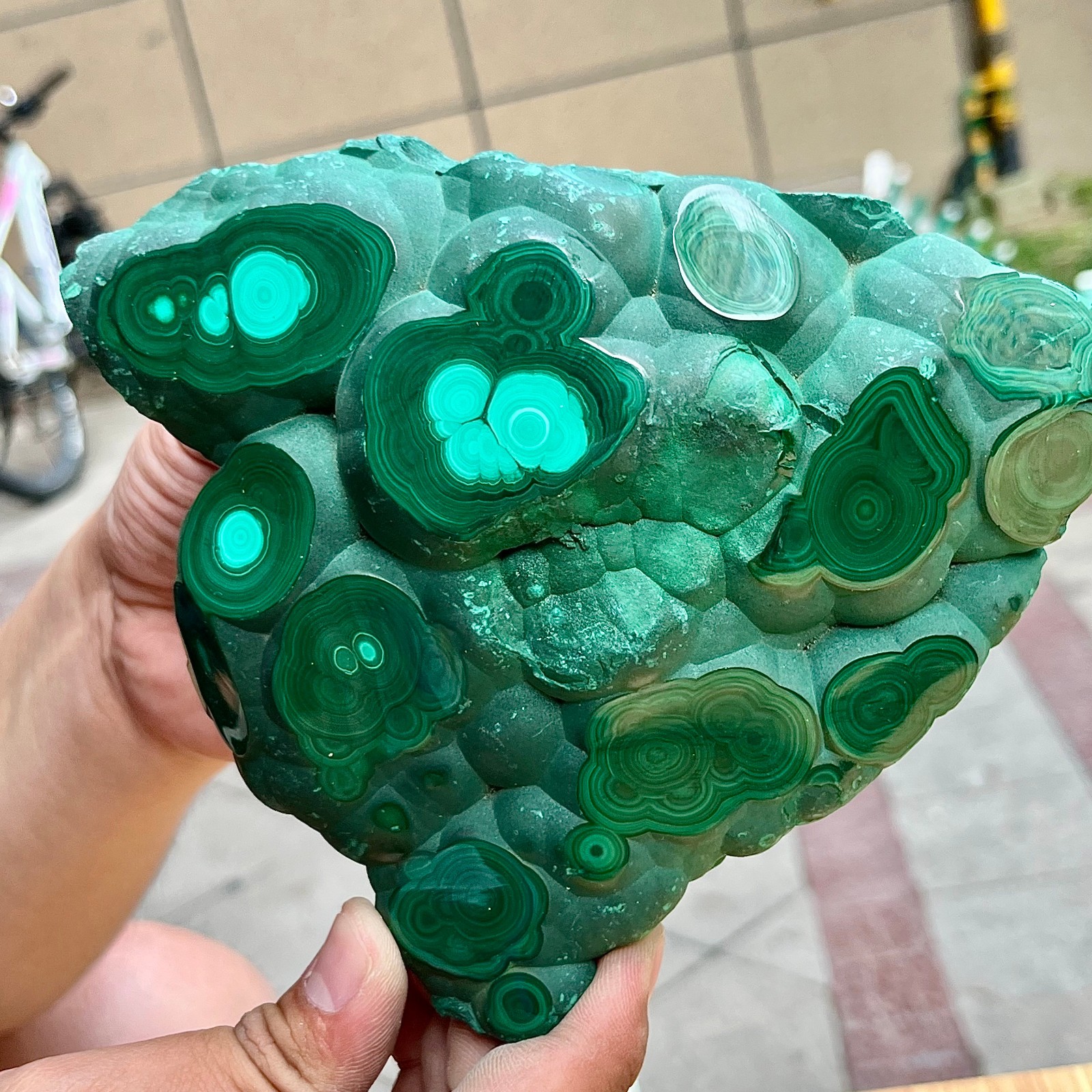 2.2 lb Eye Pattern Malachite Partially Polished Freeform Raw Back Specimen
