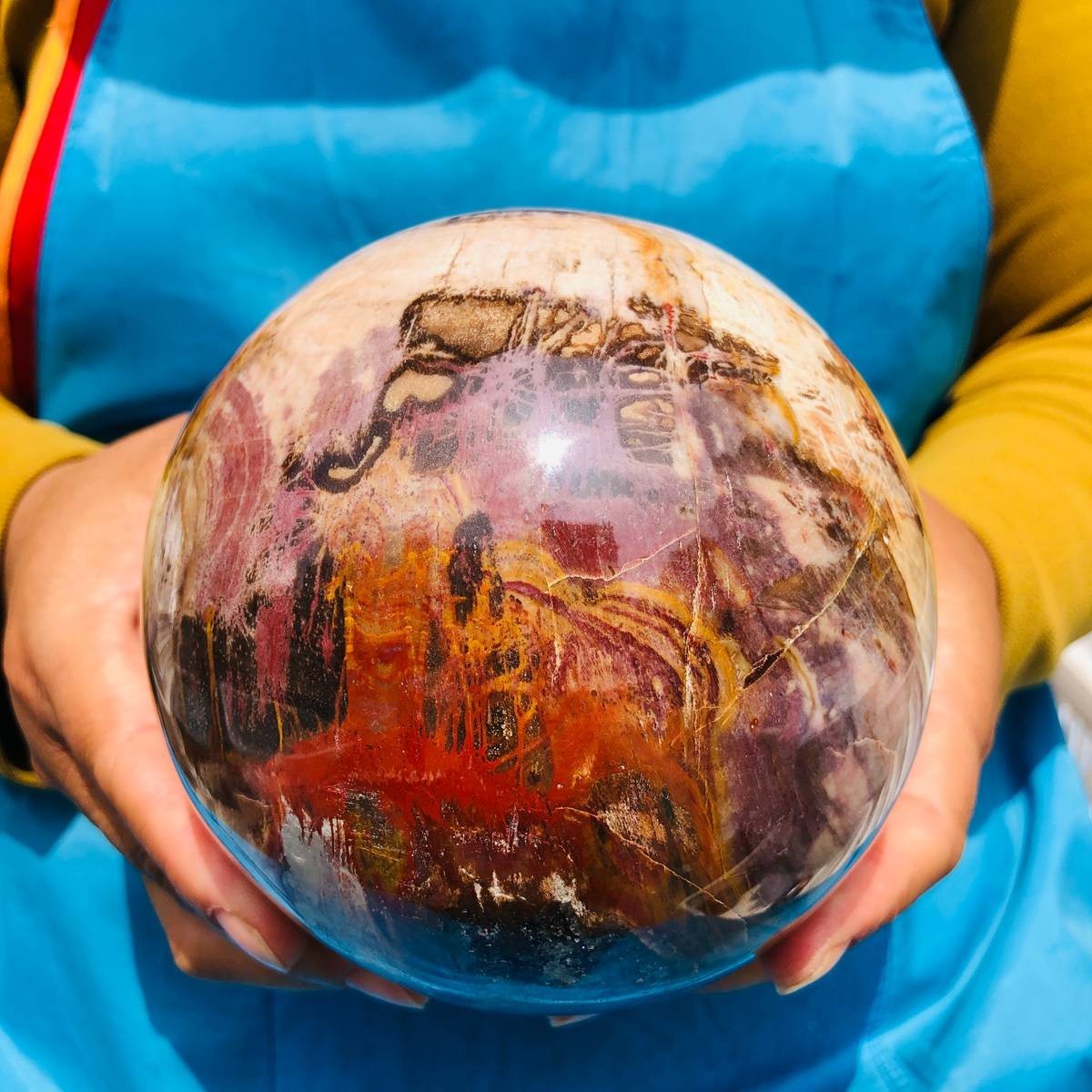 4.59LB Natural Petrified Wood Sphere Polished Crystal Ball reiki healing